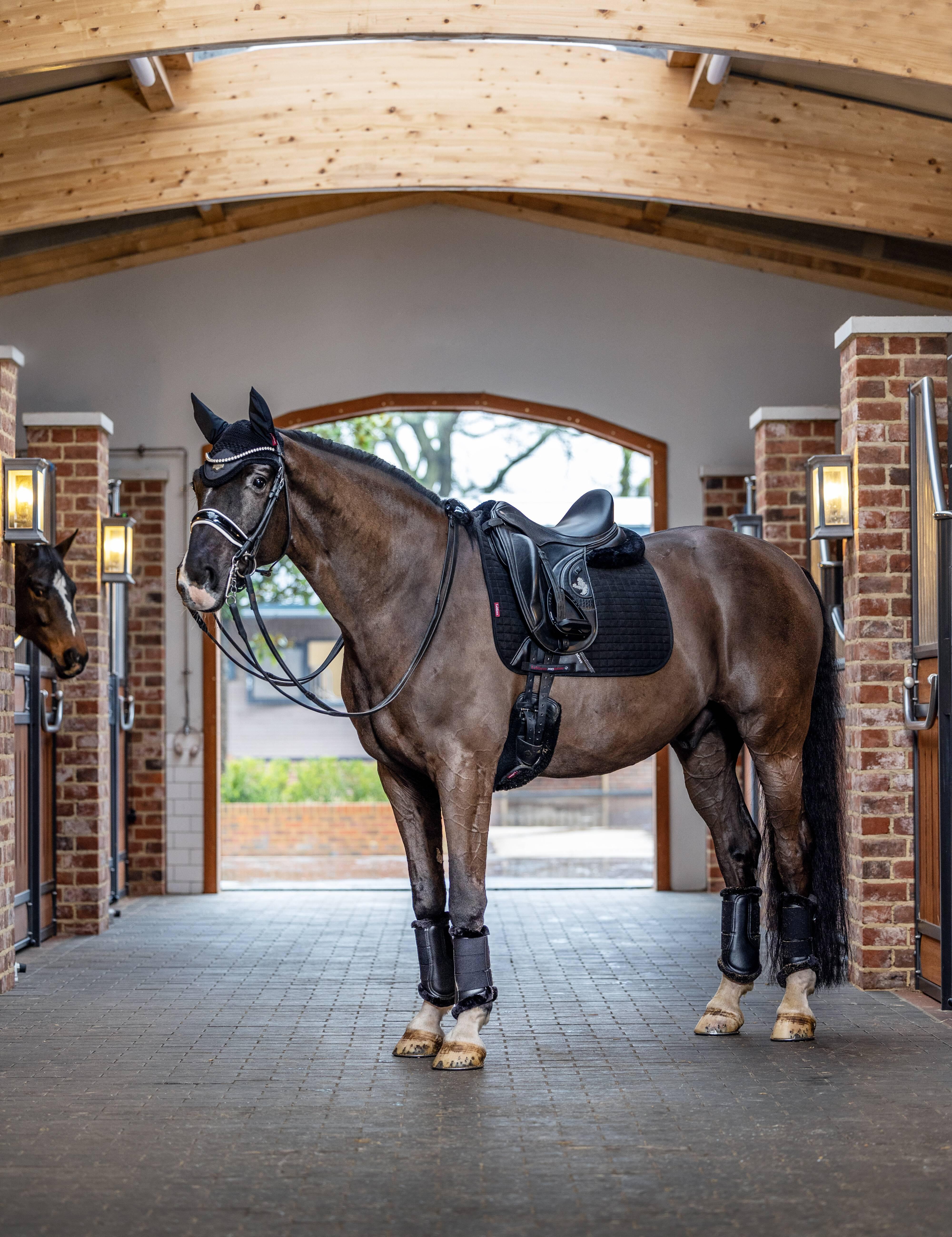 Suede Dressage Square Black Saddle Pads