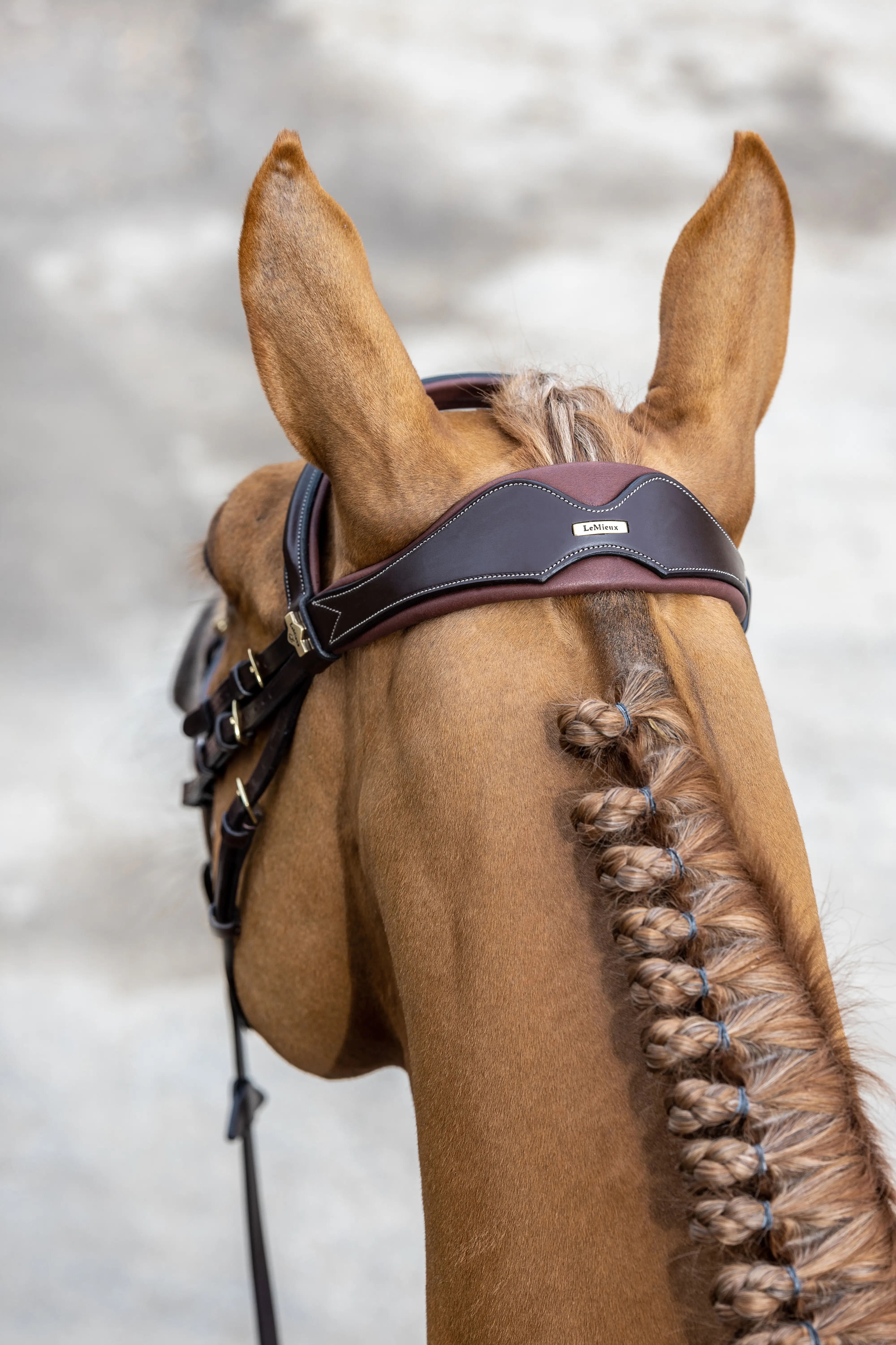 Kudos Competition Flash Bridle Havana New