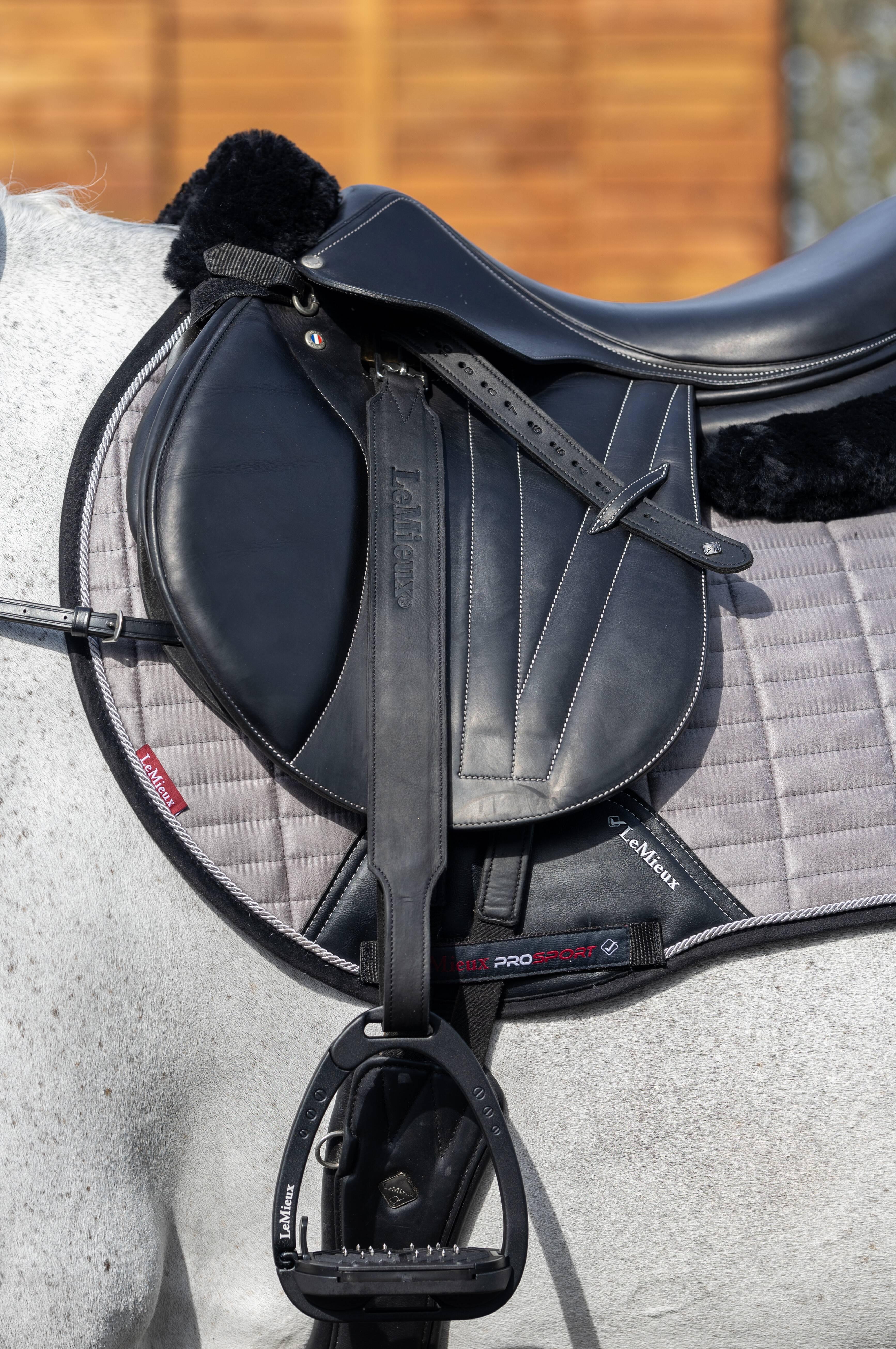 Vector Pro Stirrup Leather Black Horse