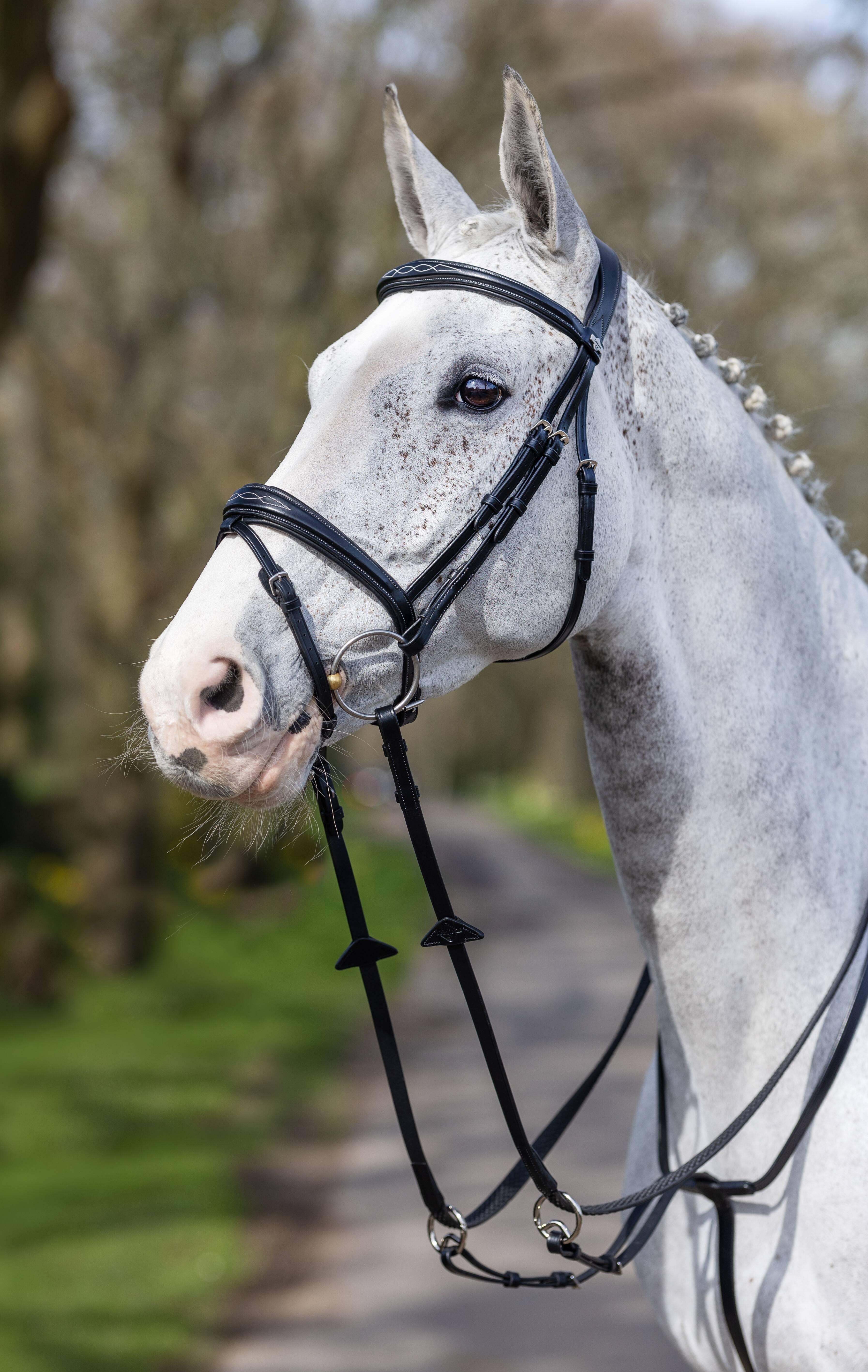 Kudos Competition Flash Bridle Black New