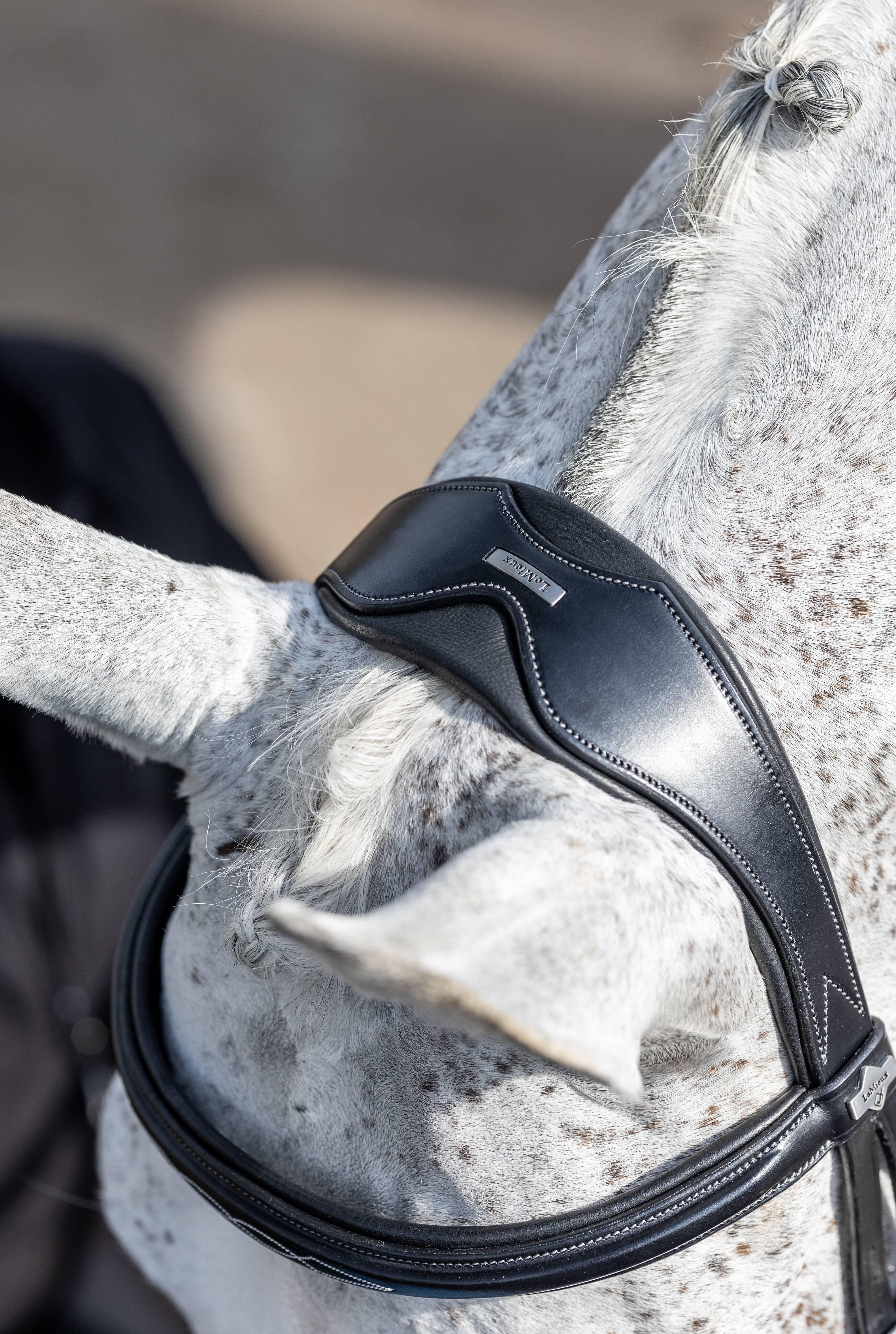 Kudos Competition Flash Bridle Black New