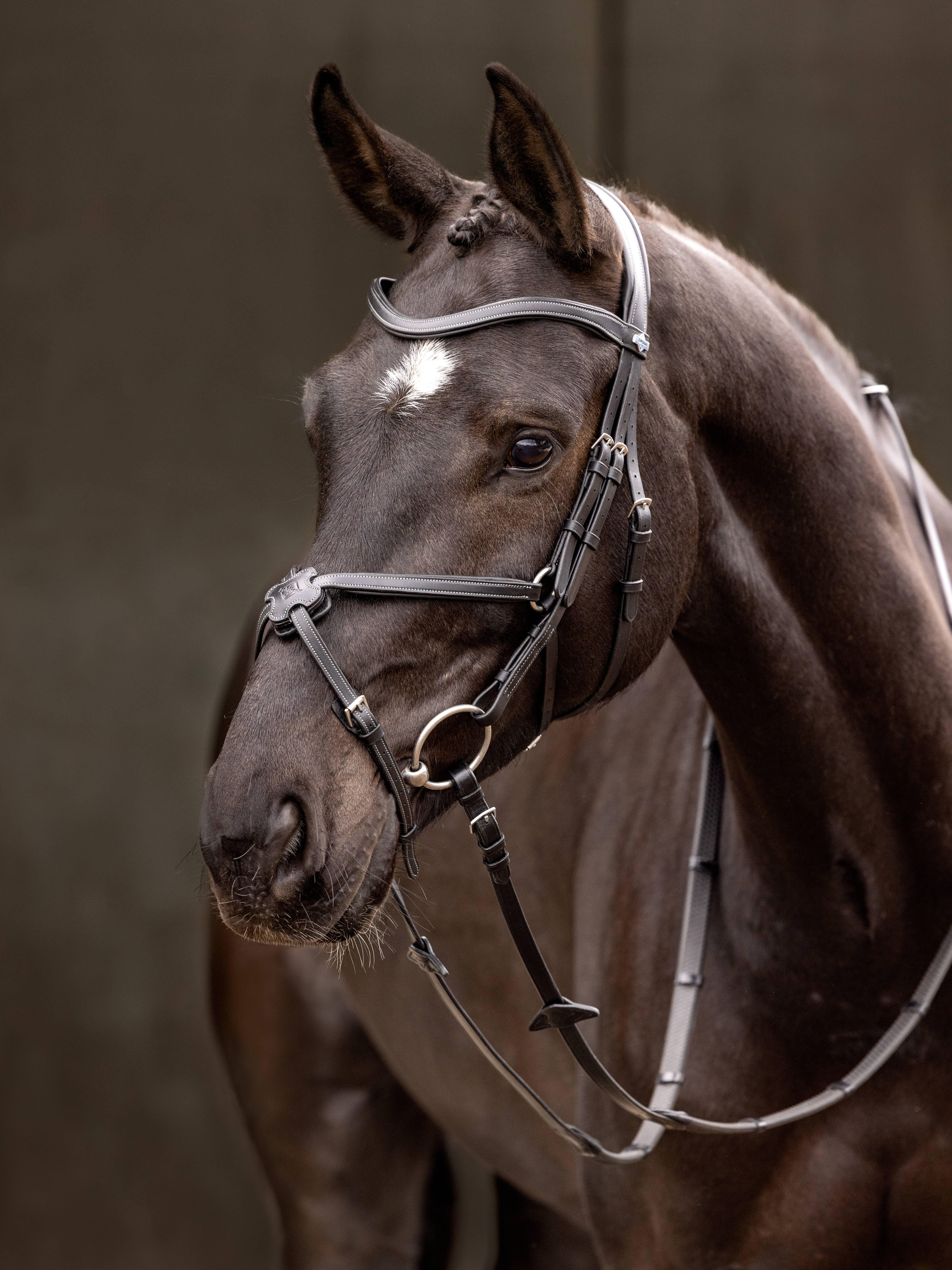 Arika Grackle Bridle Black/Silver Horse