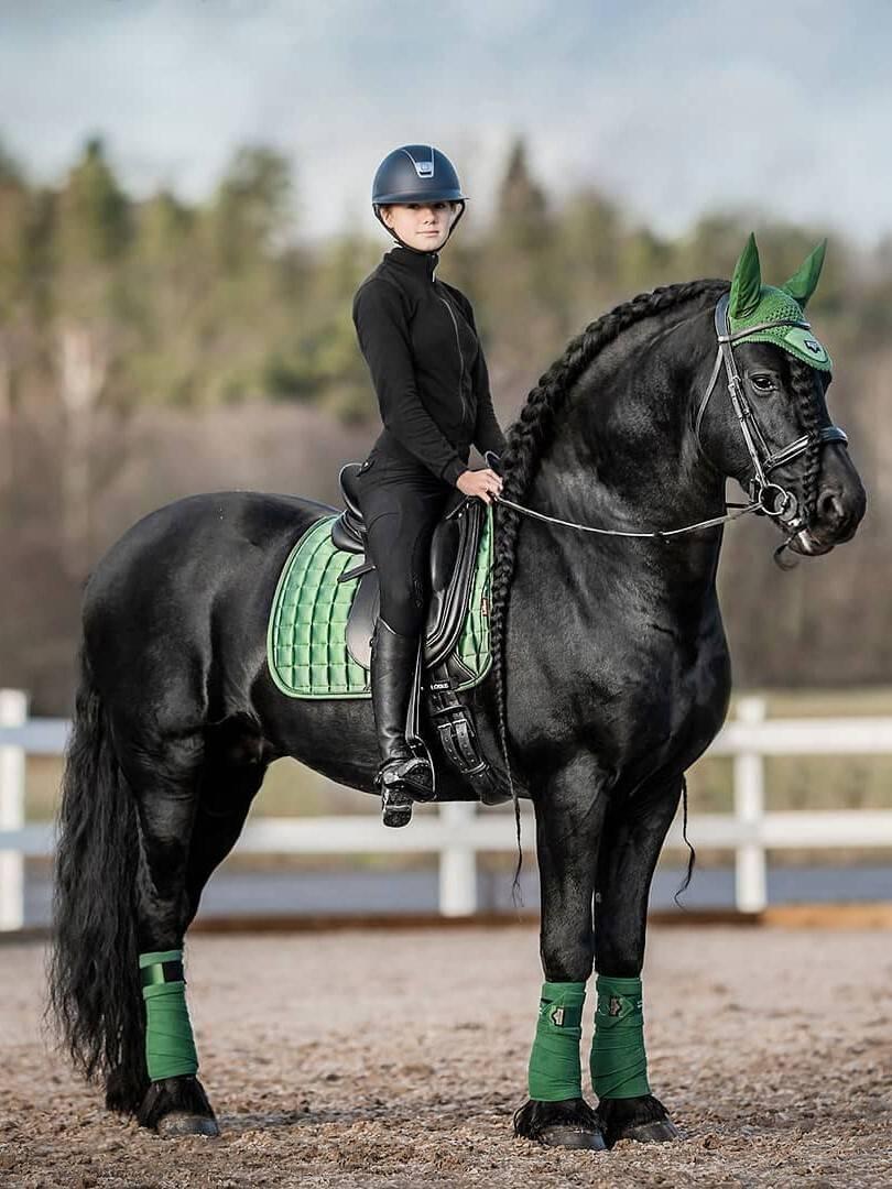 Tapis De Selle Dressage LeMieux Vert – Carré, Avec Bonnet à Manger