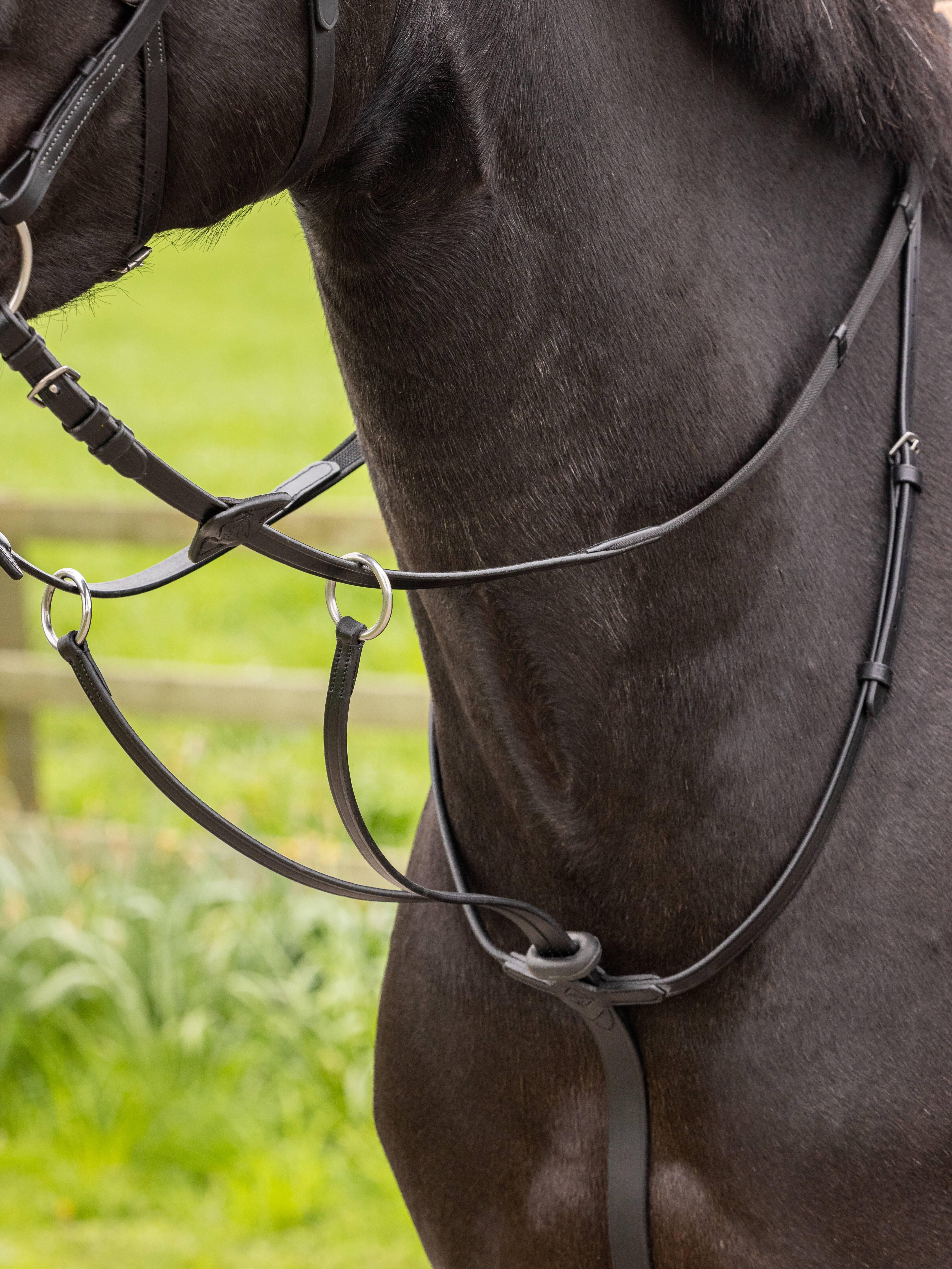 Martingale En Cuir Noir - Équitation - Occasion Bon état
