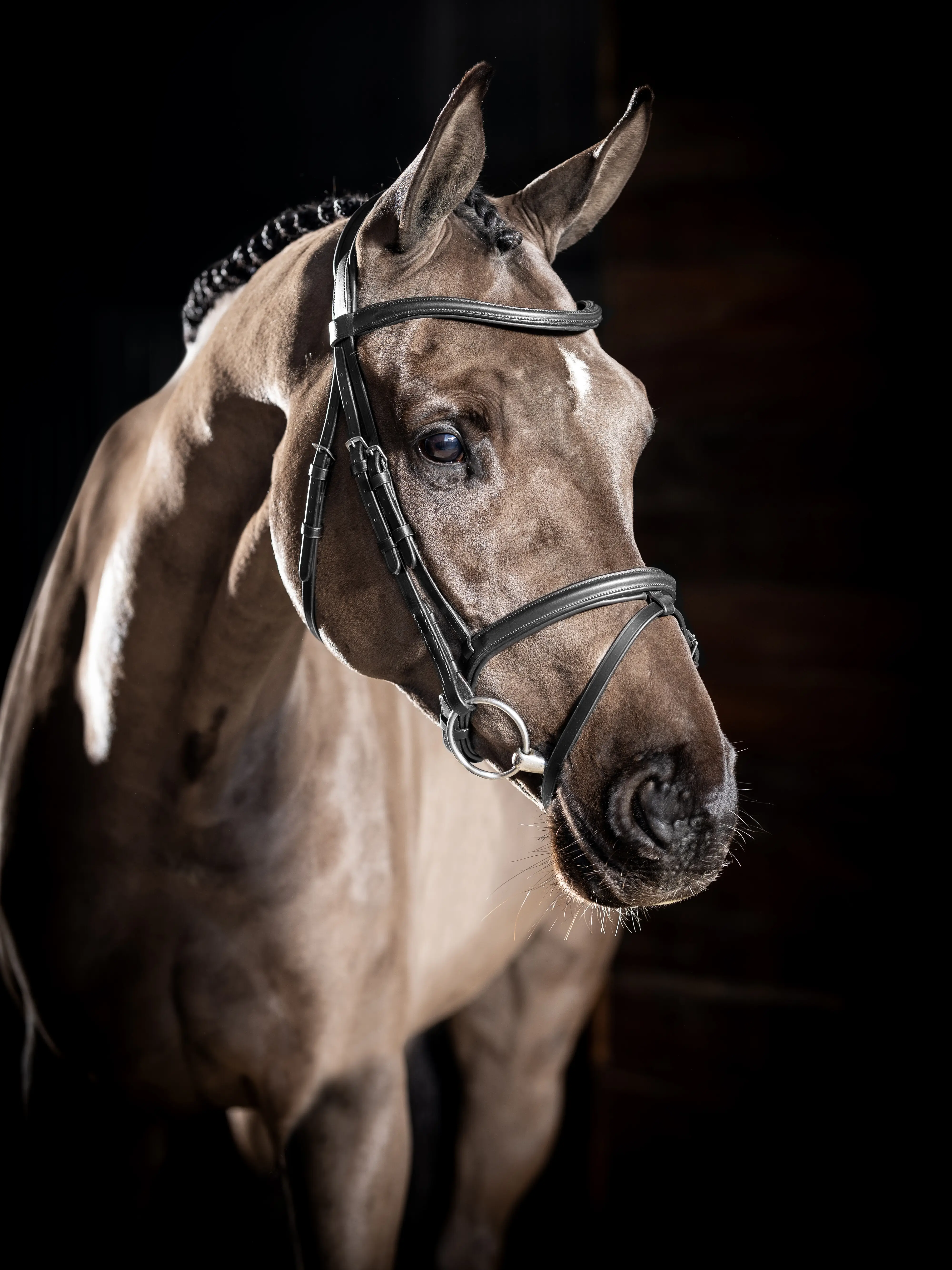 2023 BRIDLE POROSUS / TONGUE BK×LVA 新品 Arika Flash Bridle Black/Silver Horse