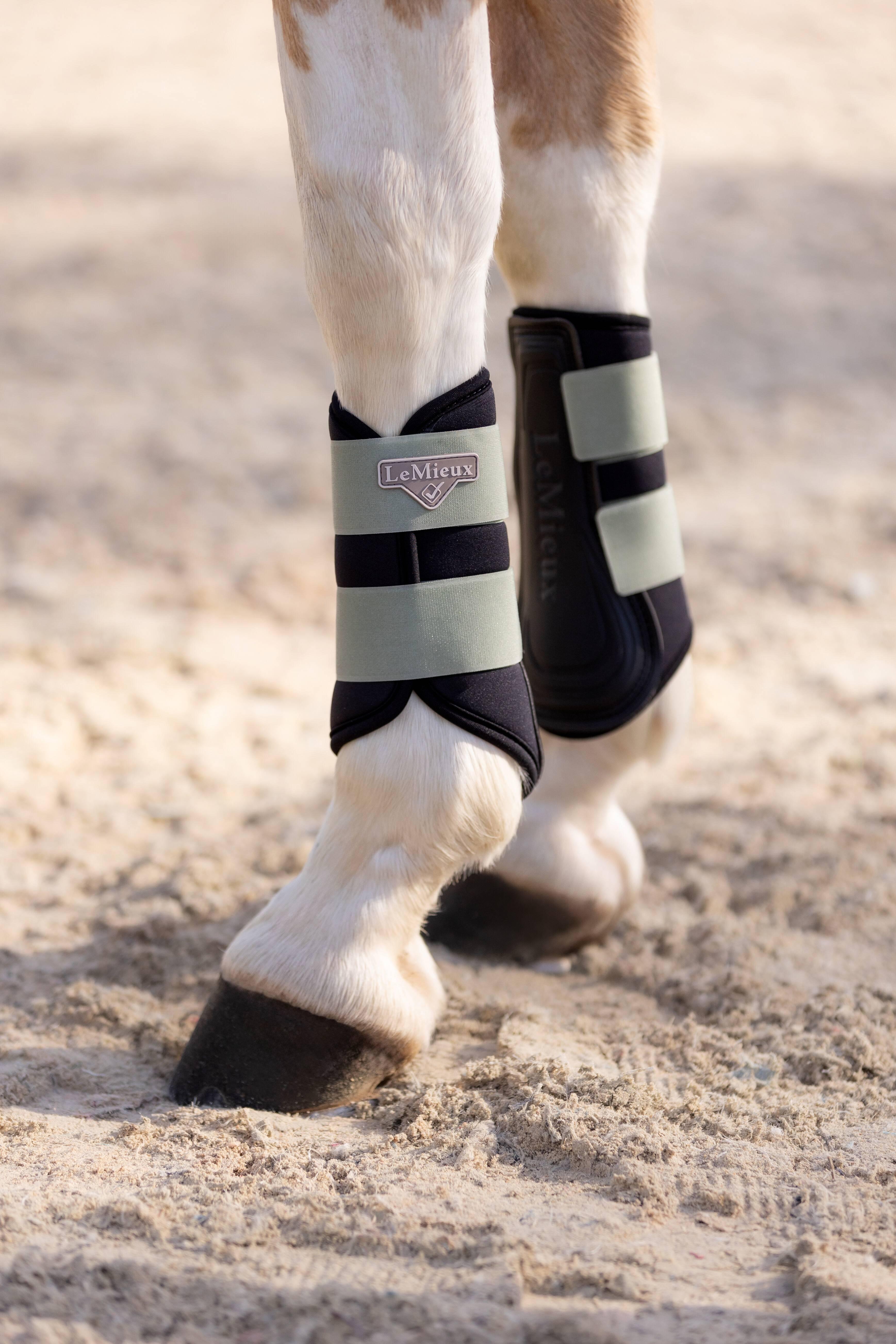 LeMieux Grafter Bottes De Brossage Mimosa Medium – Protections Écuries Durables Pour Poney/Cheval, Avant & Arrière