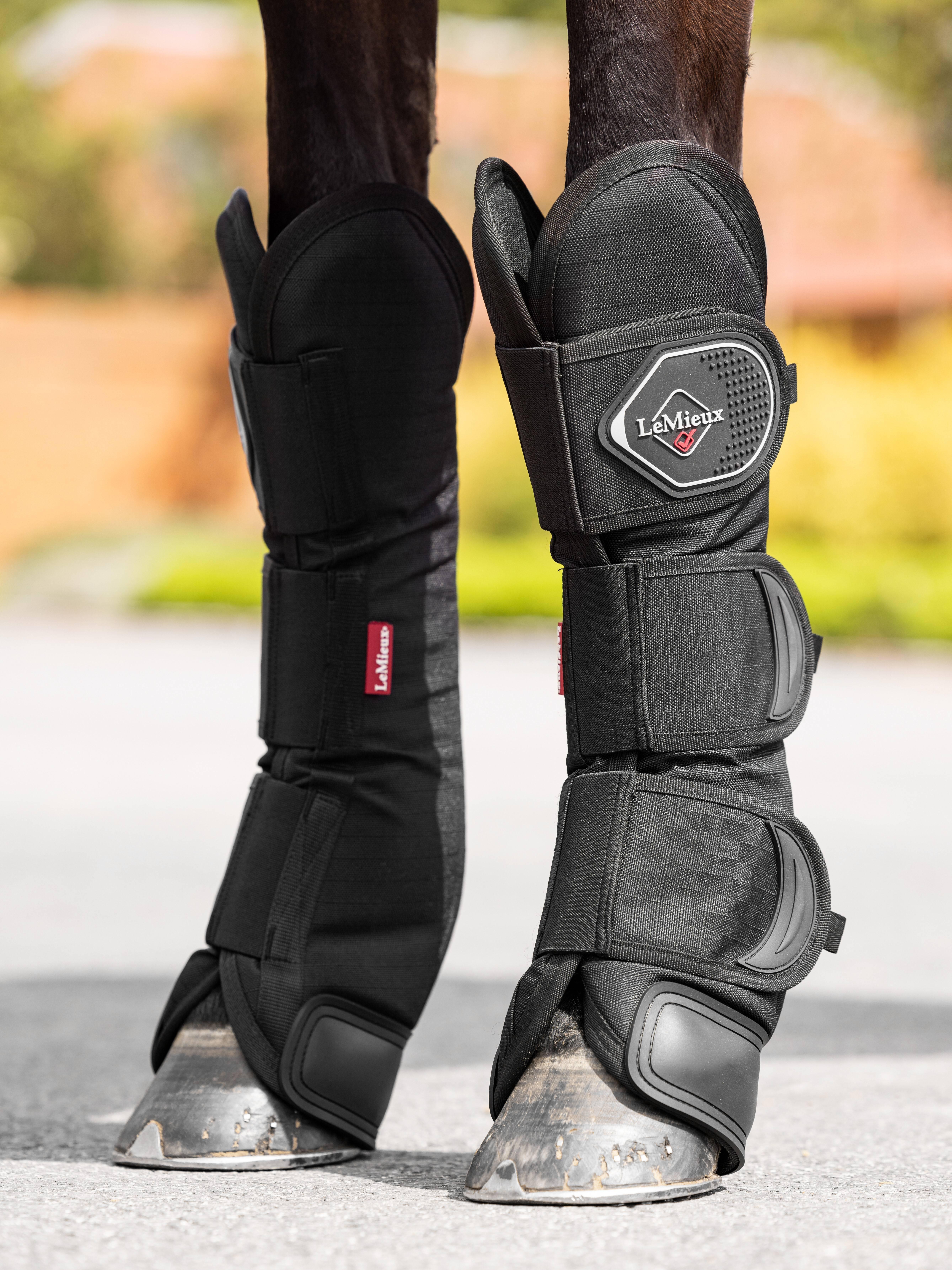 Licou En Cuir Noir Leaders 3/4 Avec Tuyauterie Rouge/bleu - Taille Cheval, Neuf