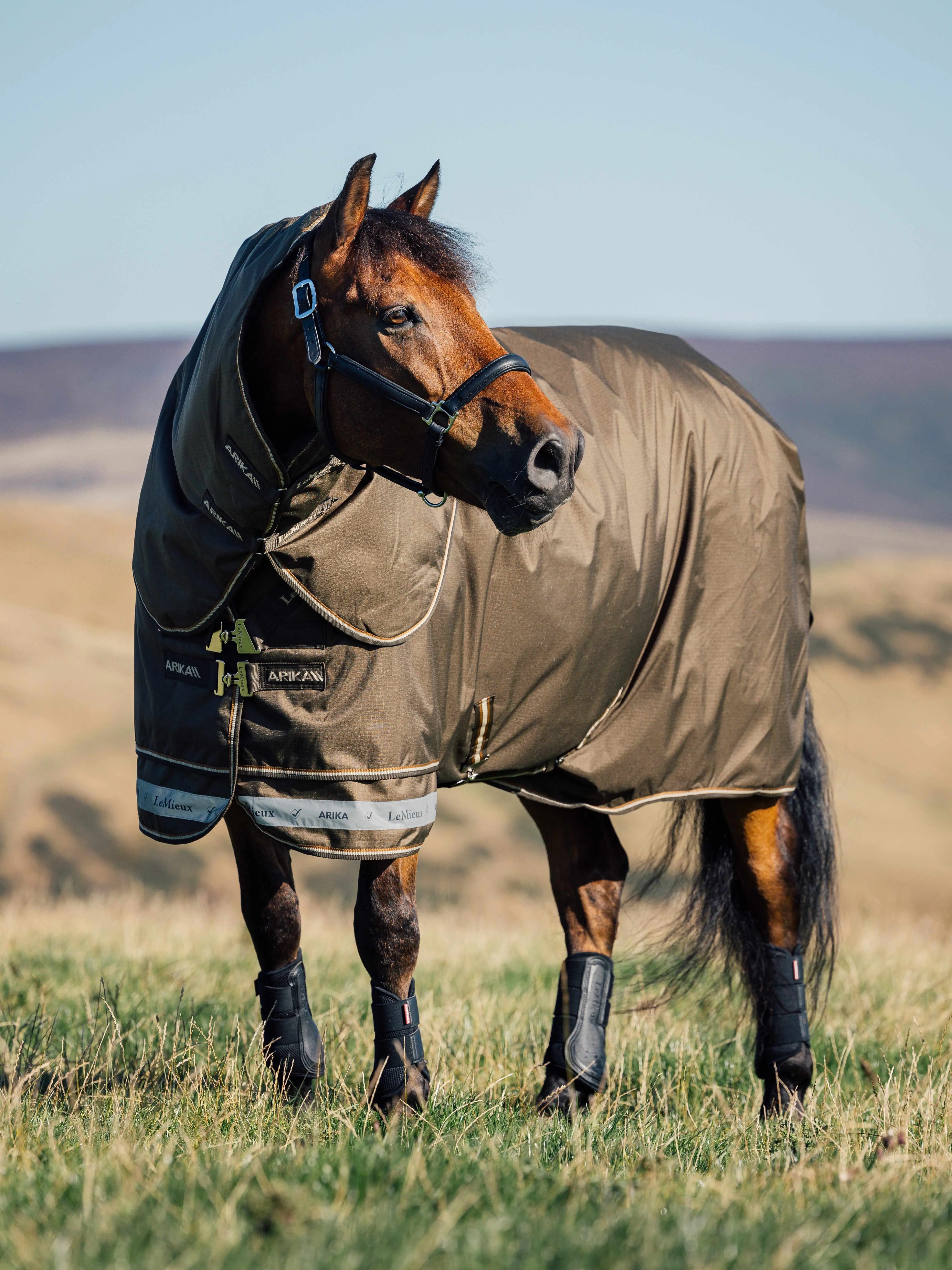 Arika Ripstop 200g Turnout Blanket Alpine Horse