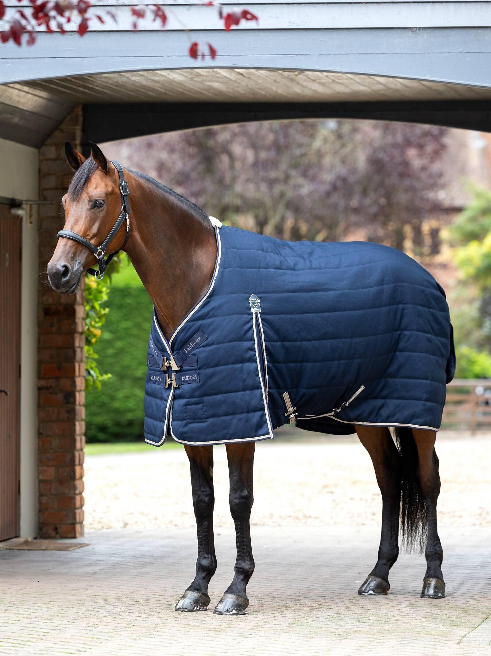 Couverture D’écurie Catago 100g Noir/gris, Taille 135cm – Neuve, Pour Chevaux !