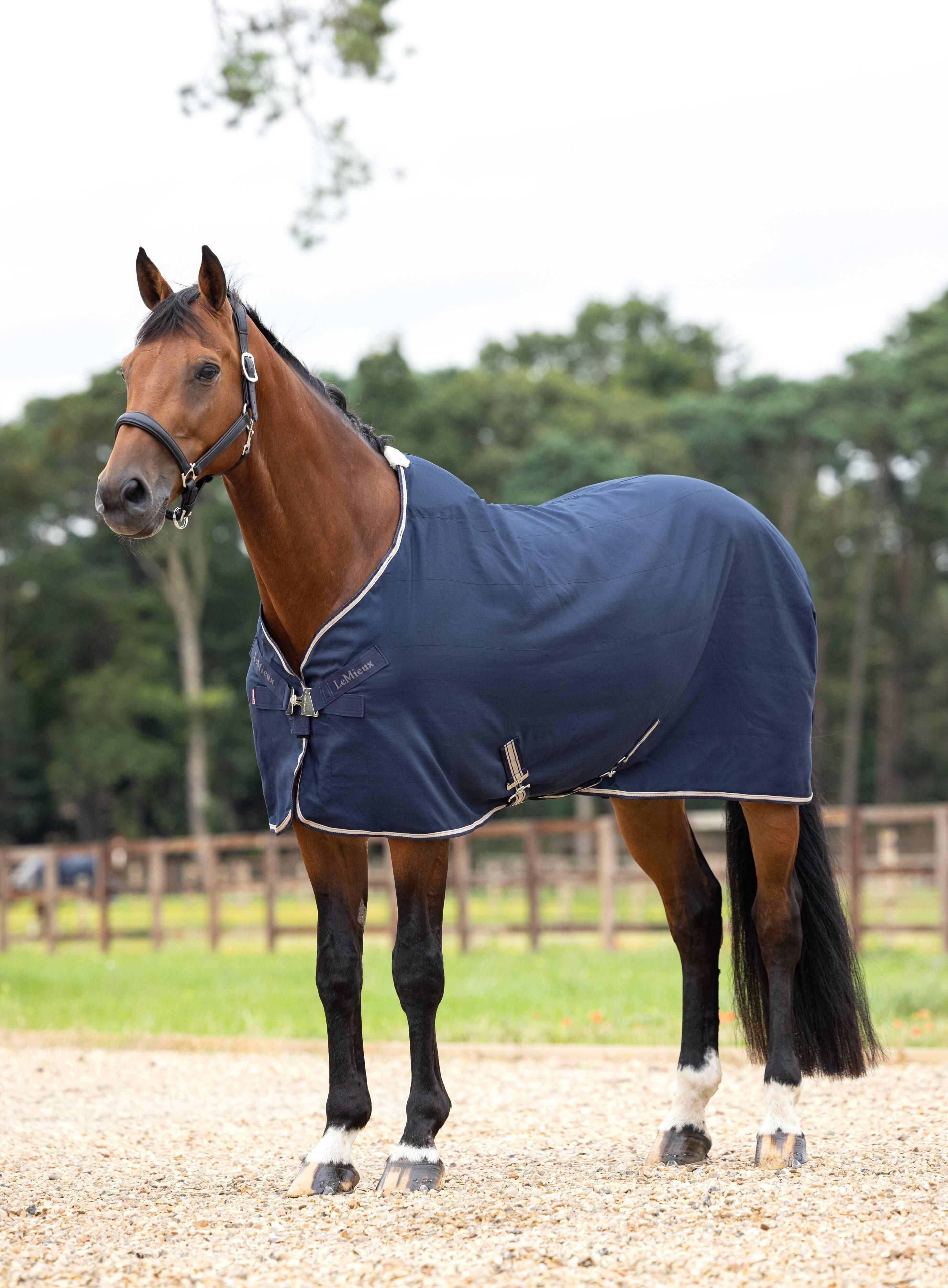 Kudos Stable Sheet Navy Horse