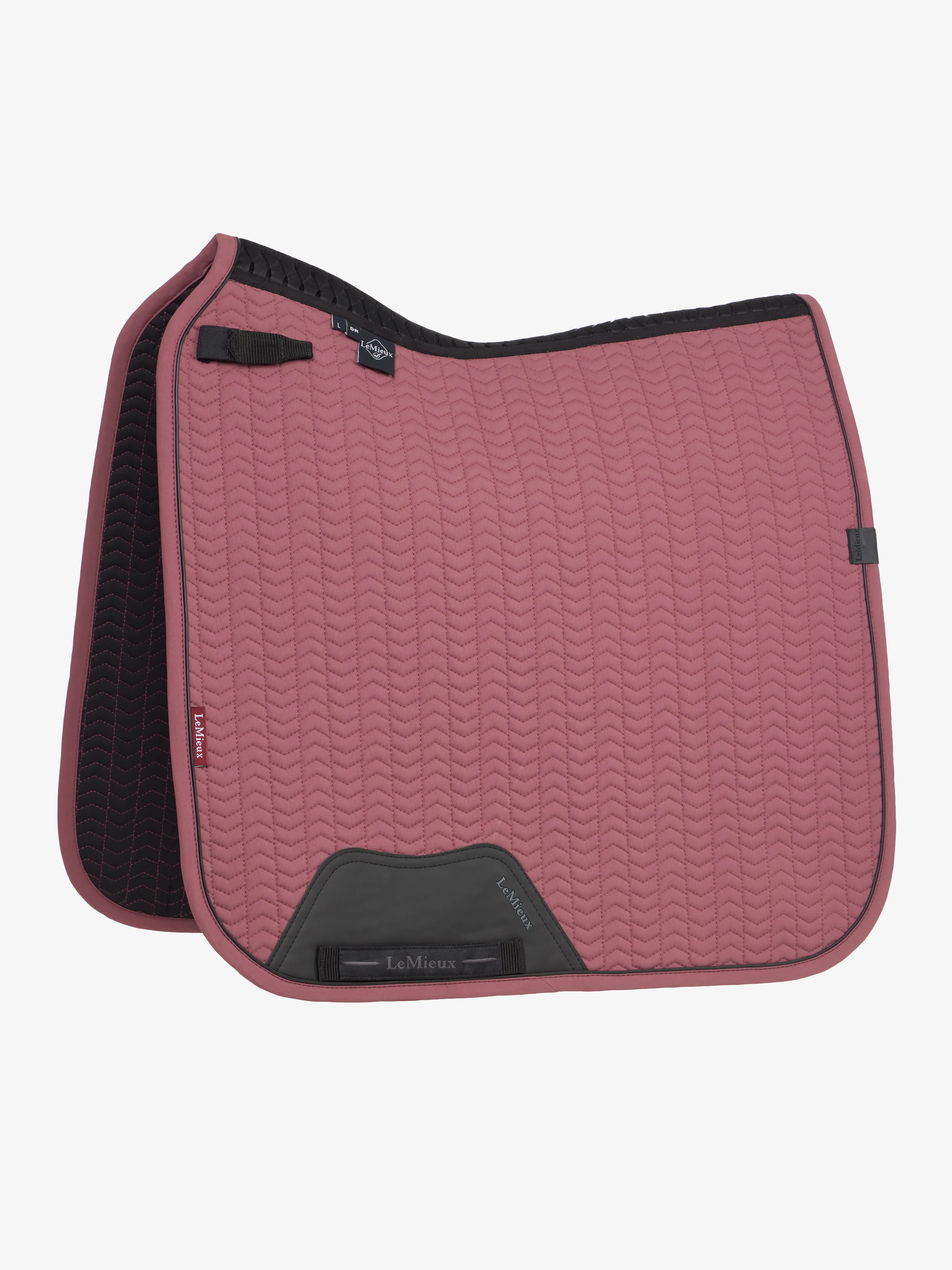 Tapis De Dressage 5x3 Pieds Pour Cheval : Idéal Pour L'entraînement à La Maison