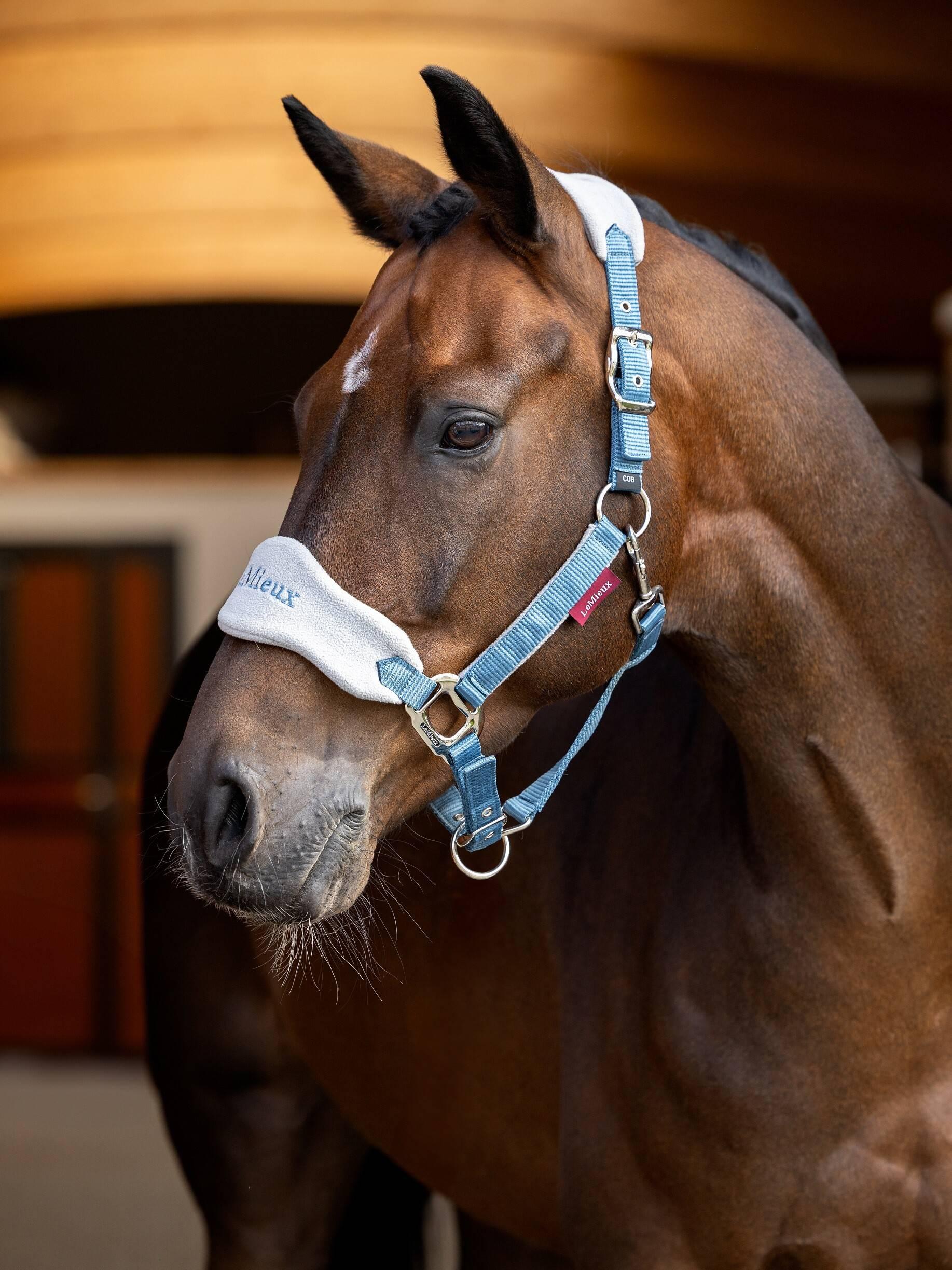 Vogue Halter & Leadrope Ice Blue Horse