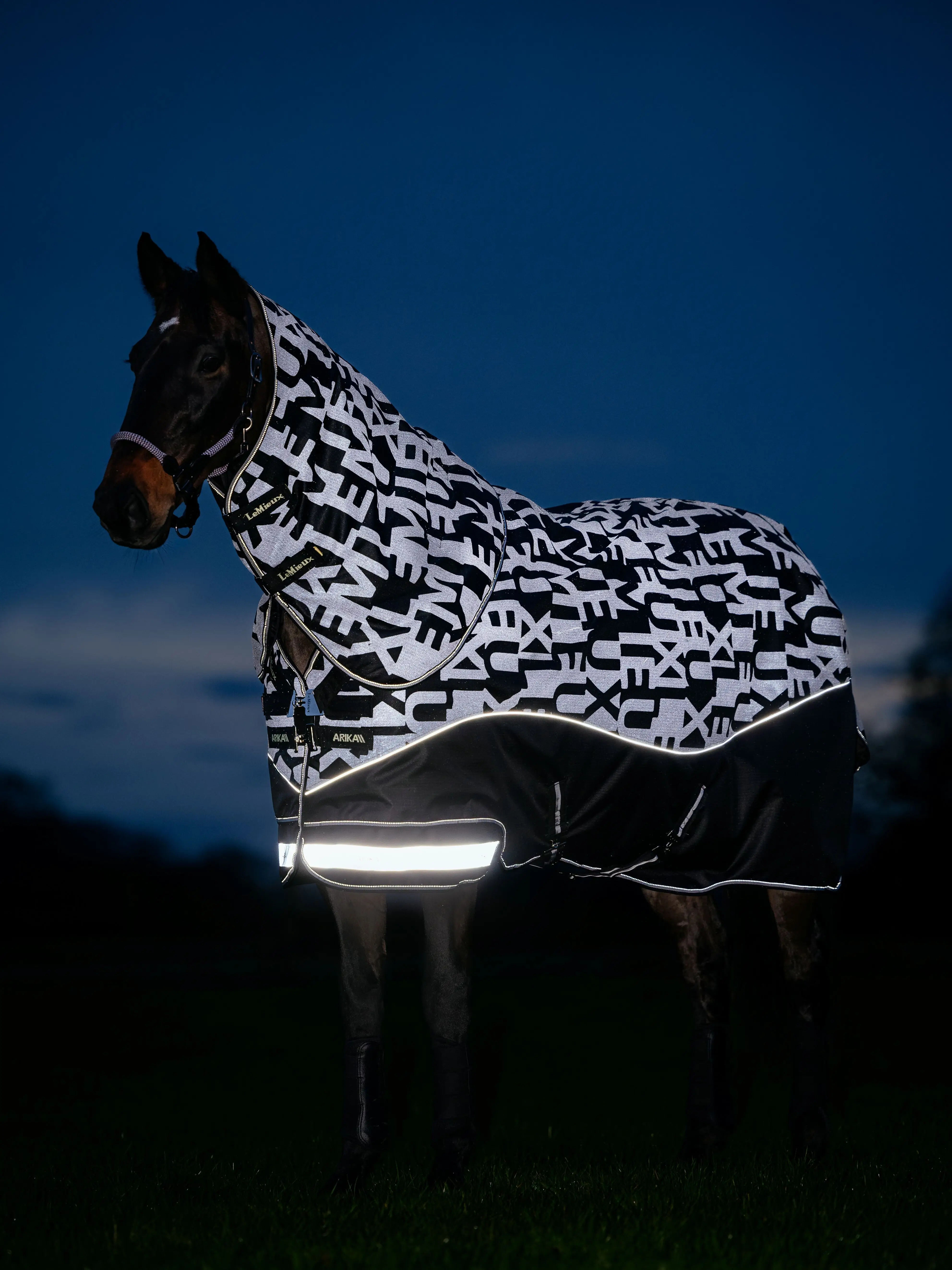 Couverture Cheval Dover Riders International 76" - Noire, Imperméable, Remplissage 100g