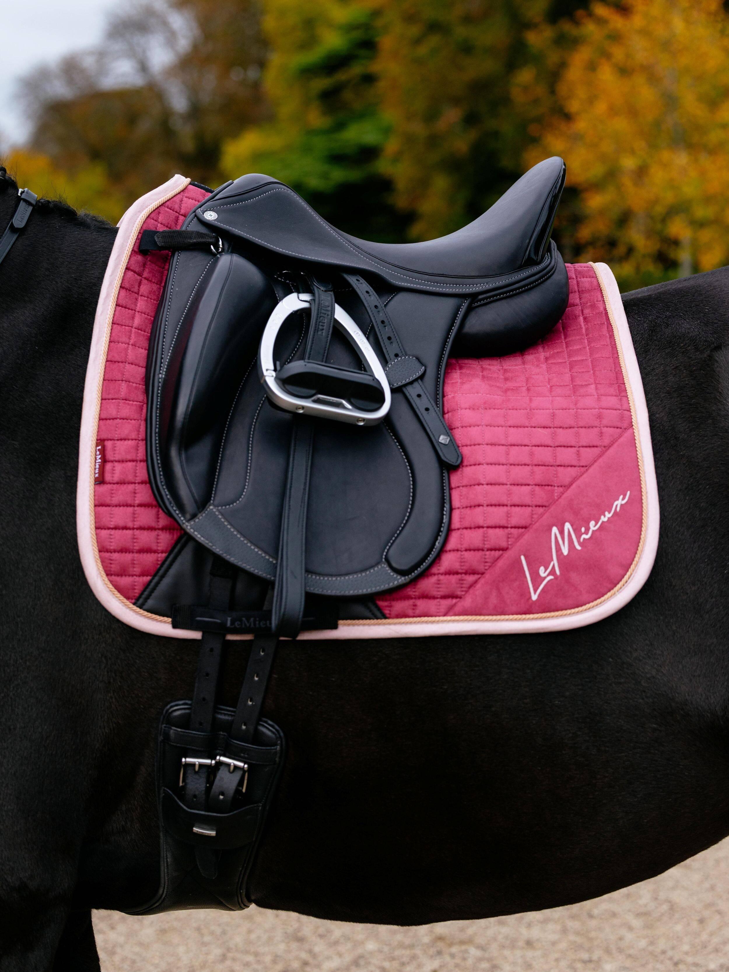 Bijoux Suede Dressage Square French Rose Outlet