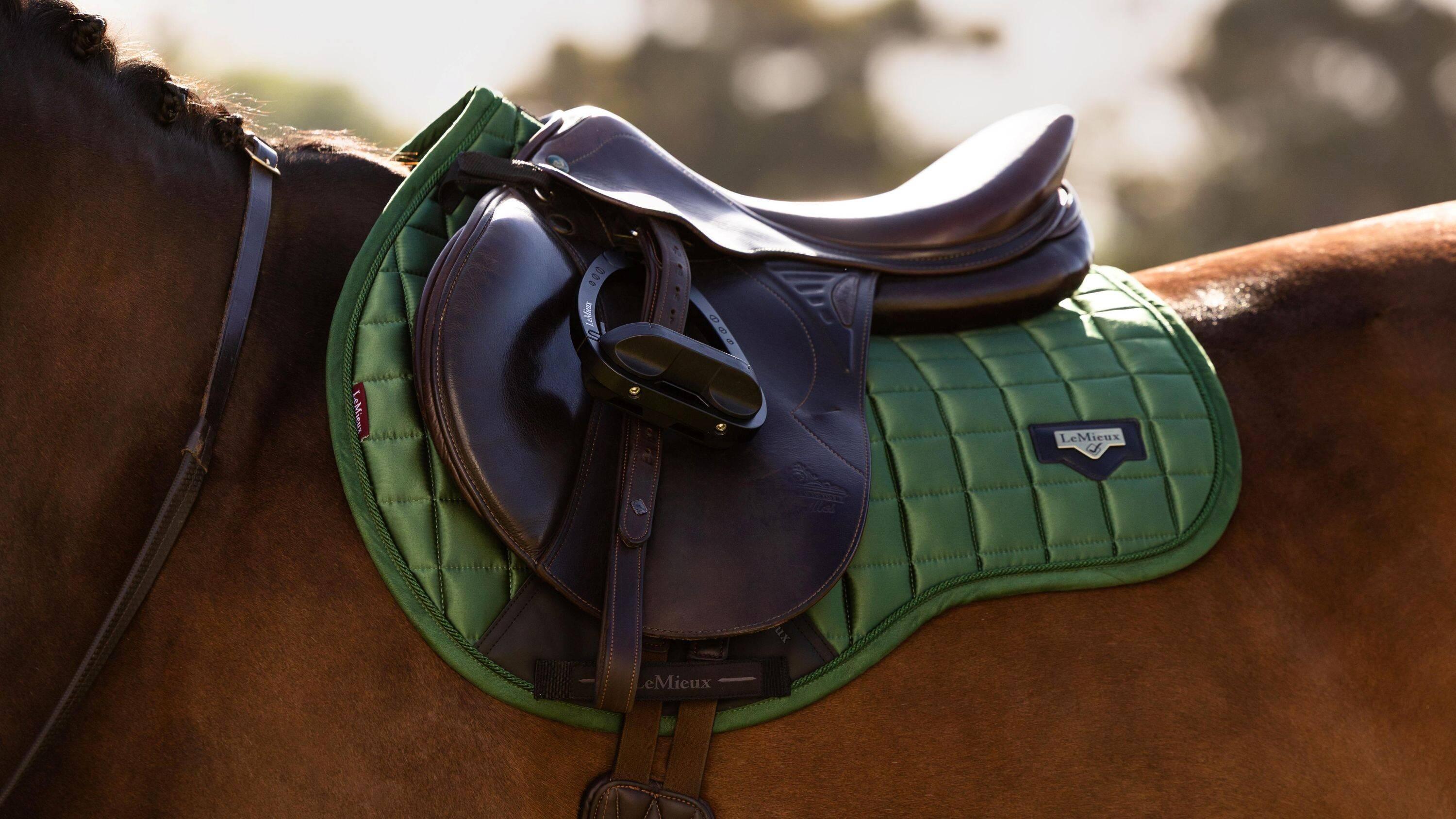 Loire Classic GP Square Hunter Green Saddle Pads