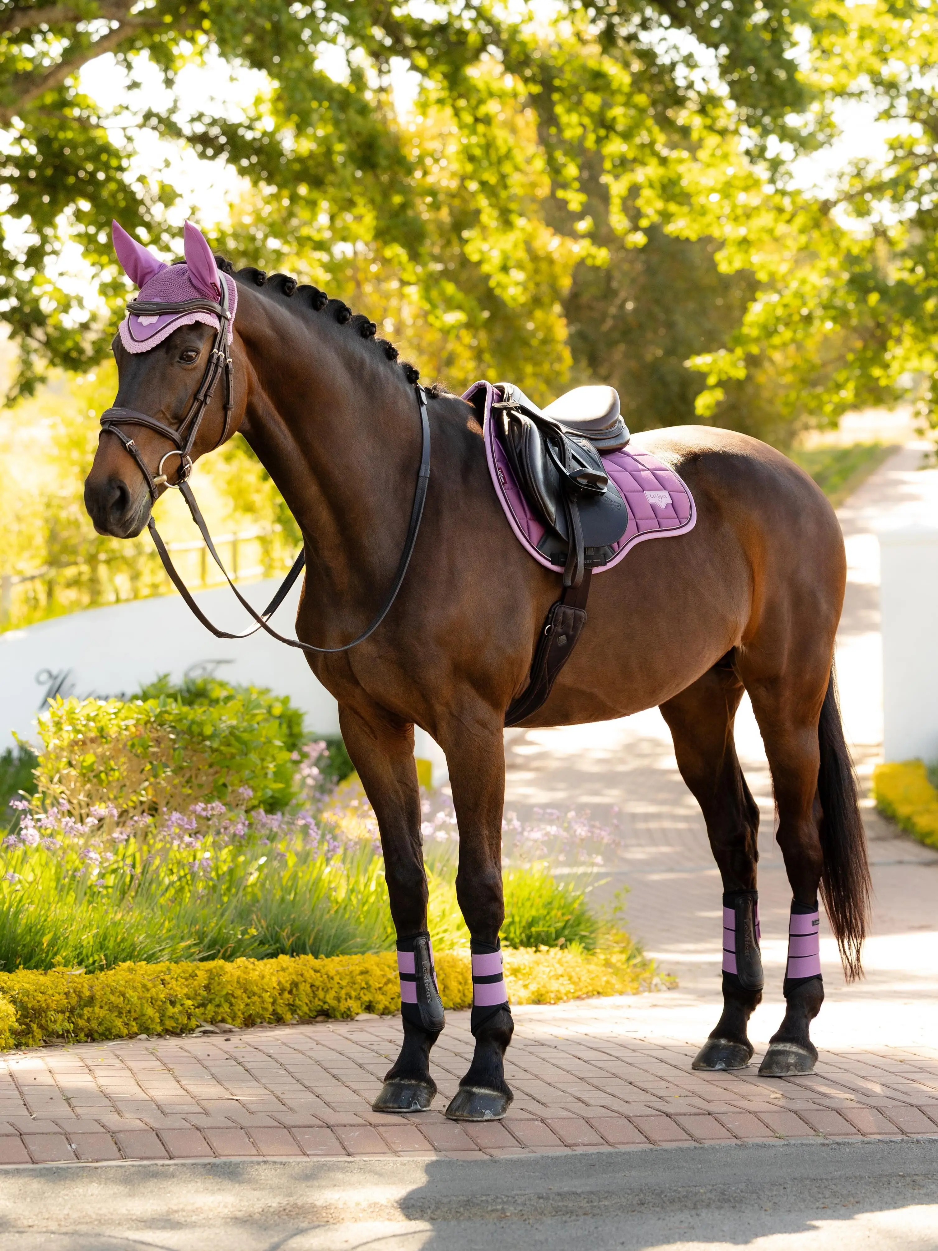 Loire Classic GP Square Mallow Saddle Pads