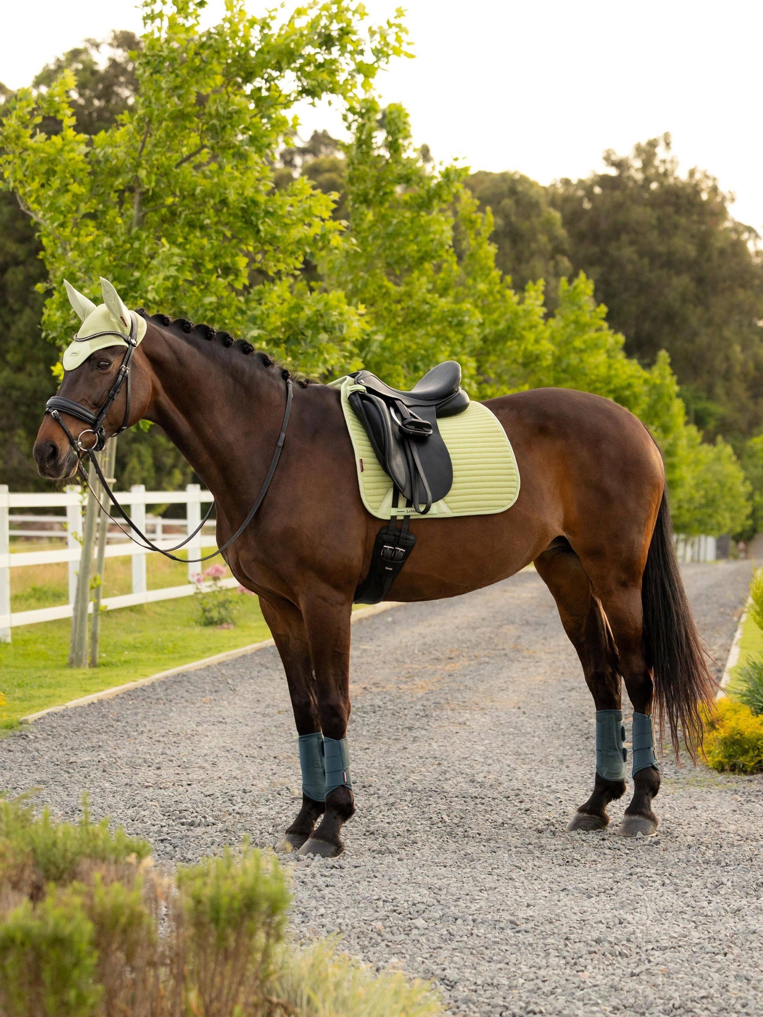 Air-Tek Mesh Dressage Square Macaron Saddle Pads