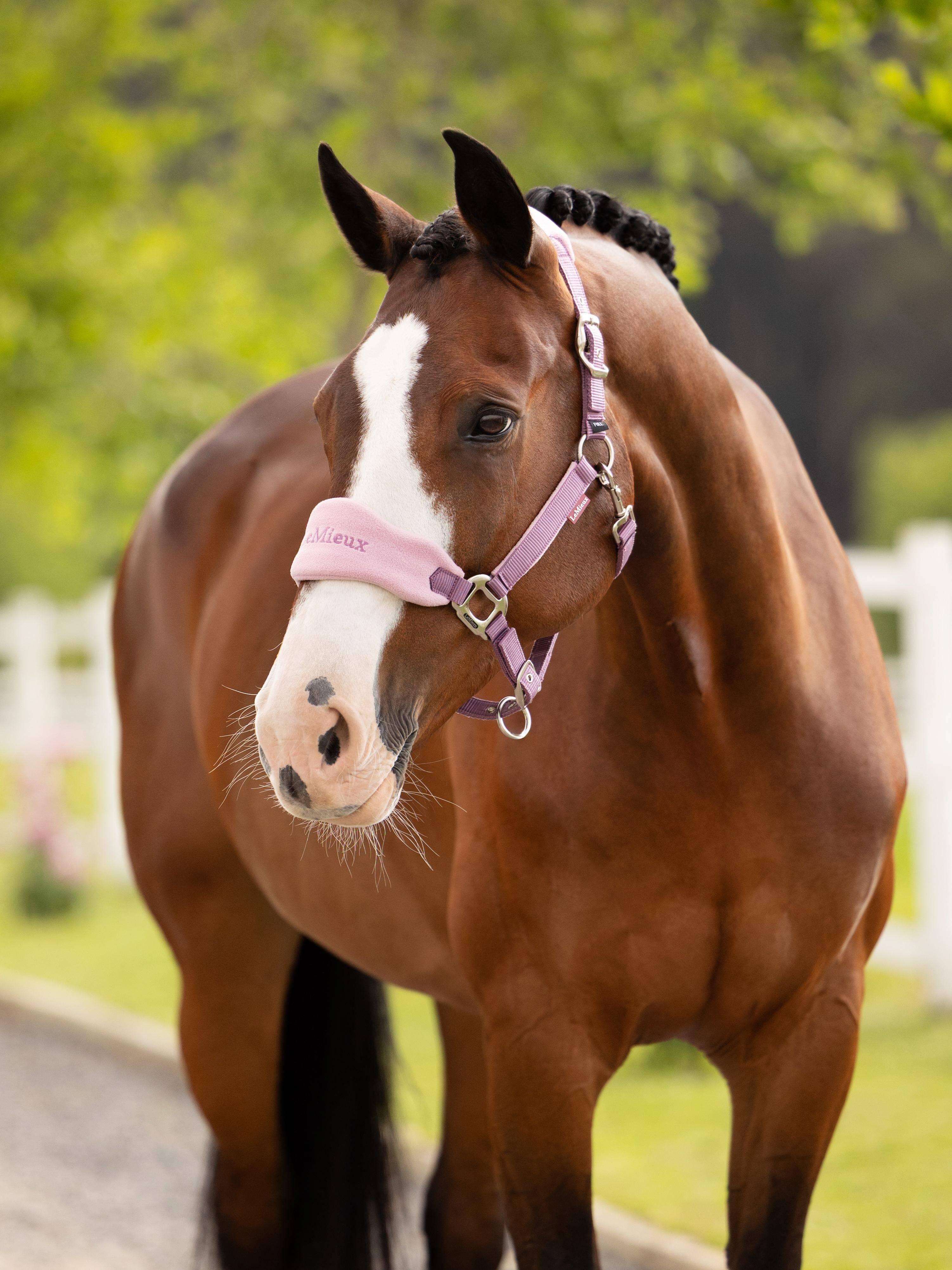 Vogue Headcollar & Leadrope Mallow Horse