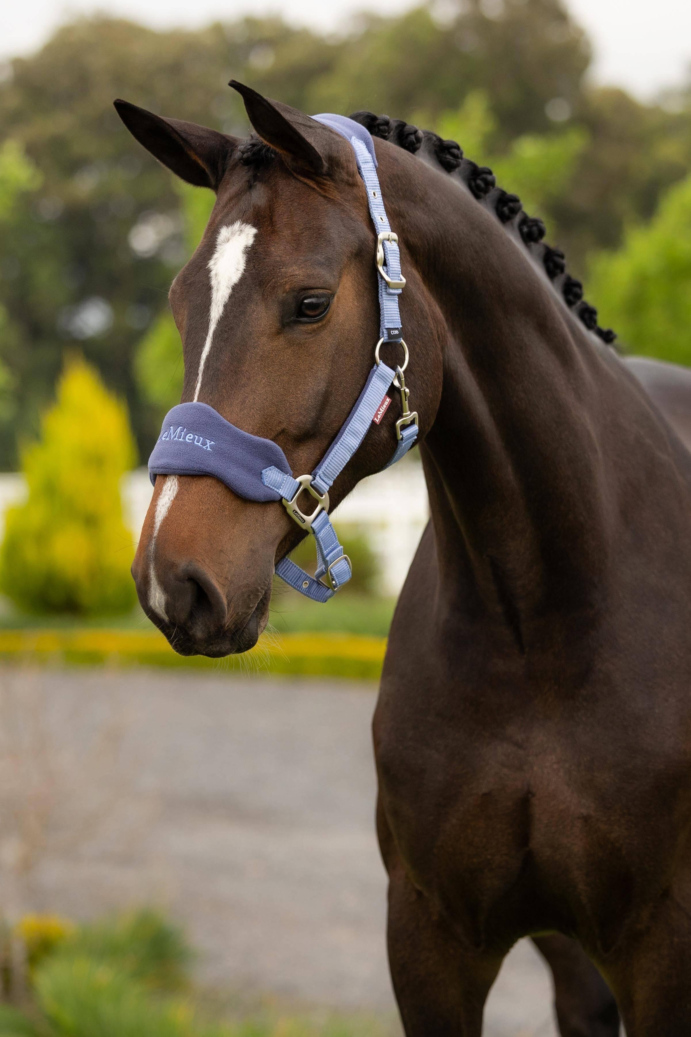 Vogue Halter & Leadrope Powder Blue Horse