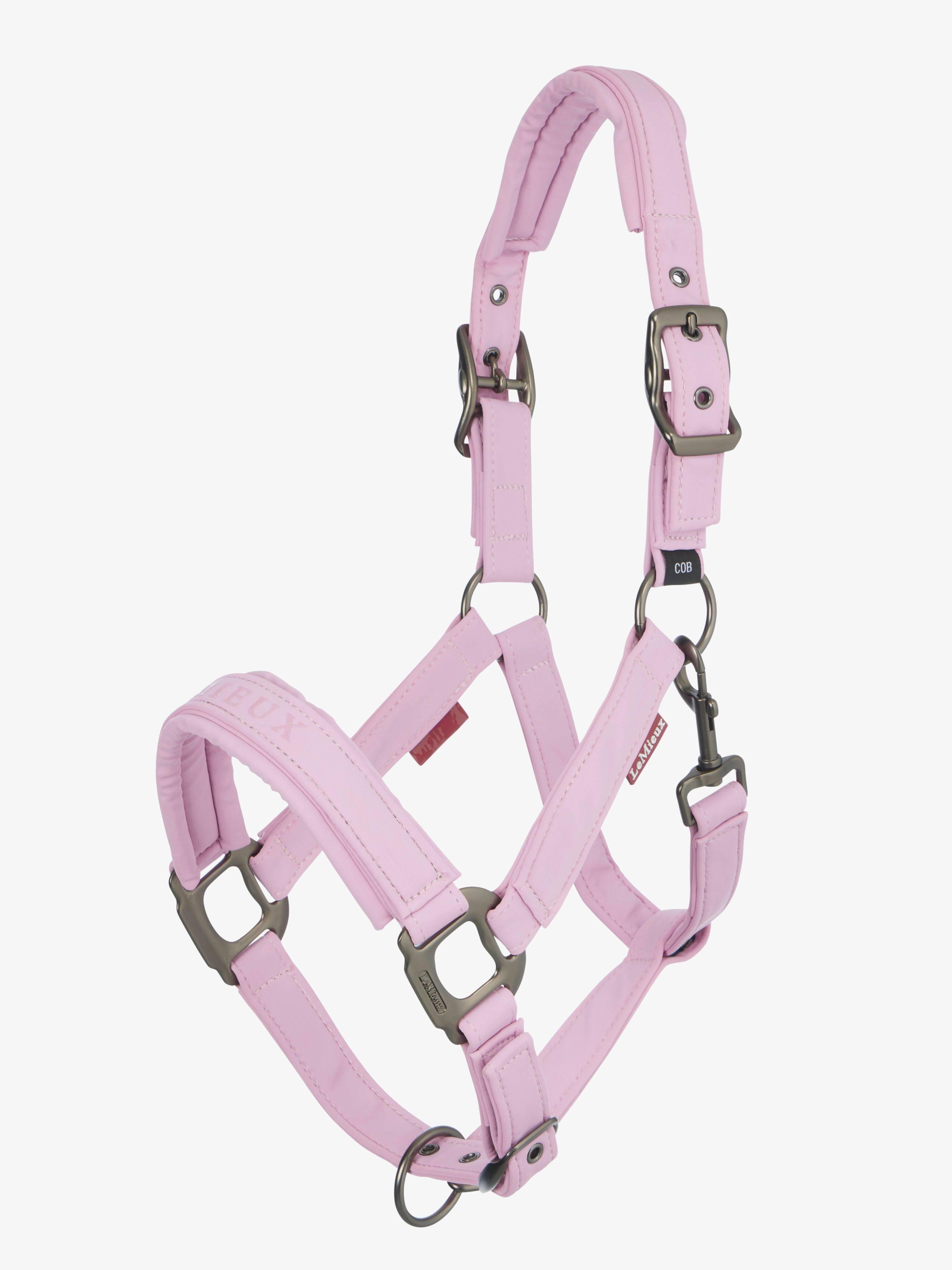 Lichette Cheval En Cuir Rembourrée, Rose, Toutes Tailles, Ridex