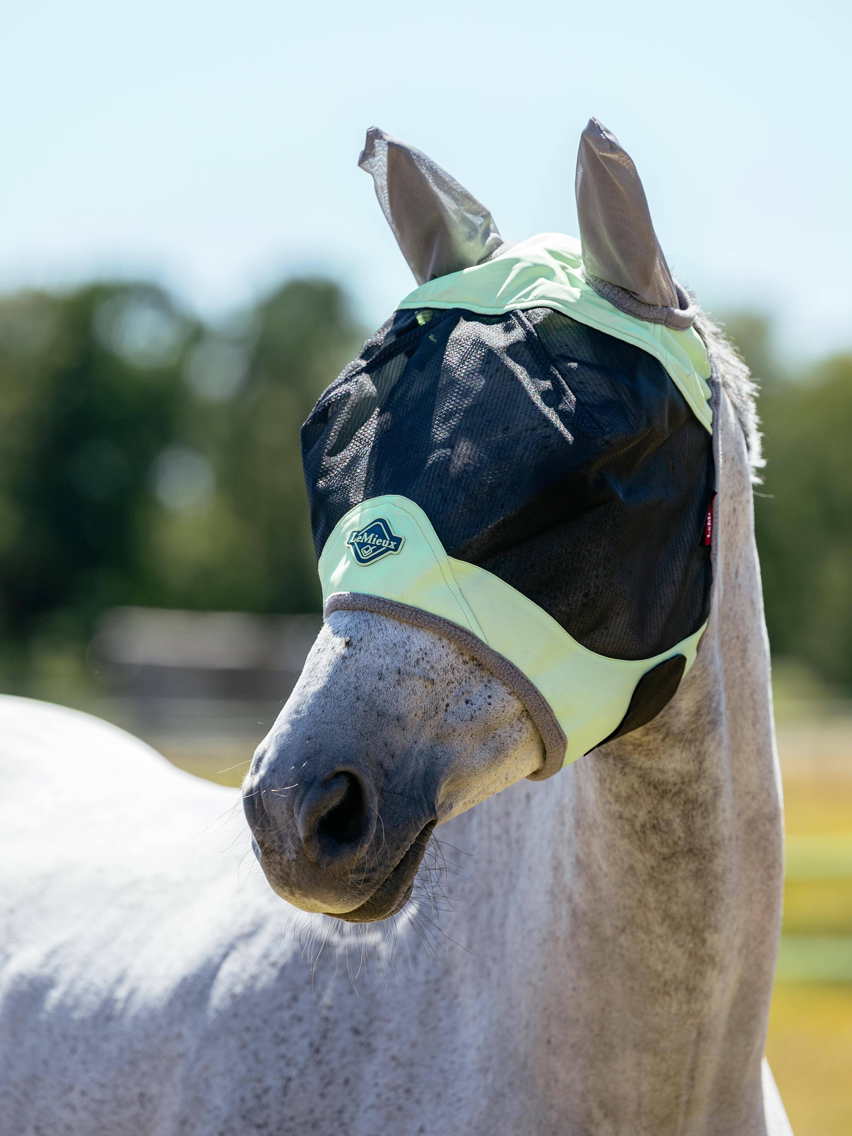 【未使用】LeMieux ルミュー カーブド フェアファックス ラムスキン ガースカバー 腹帯カバー M ブラック 乗馬 馬術 中古・未使用品】LeMieux ルミュー カーブド フェアファックス