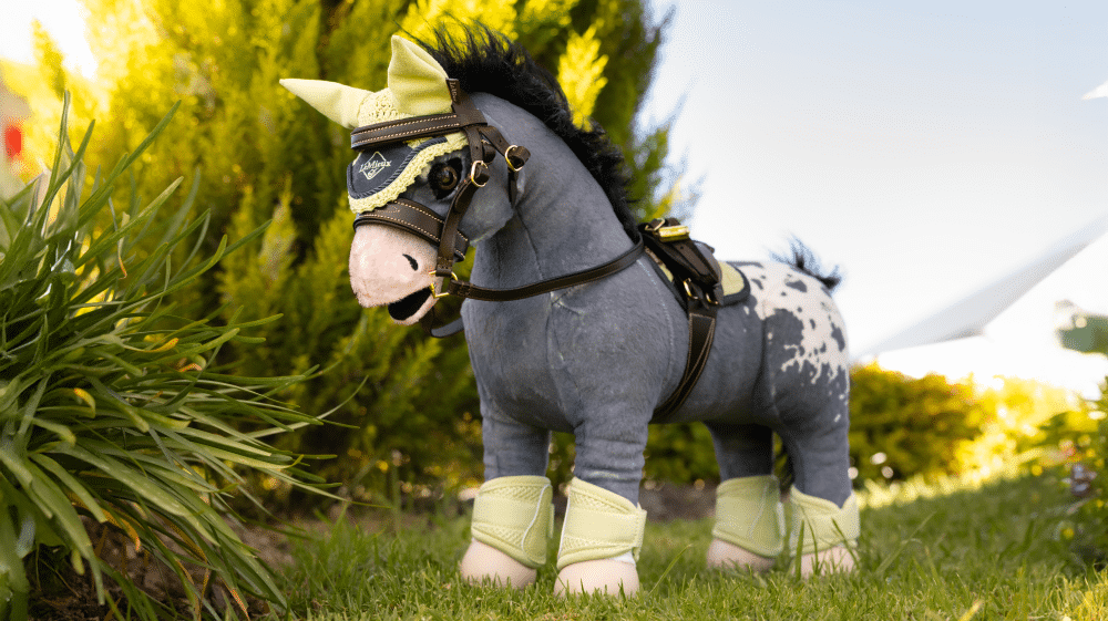Toy Pony Fly Hood Macaron Outlet