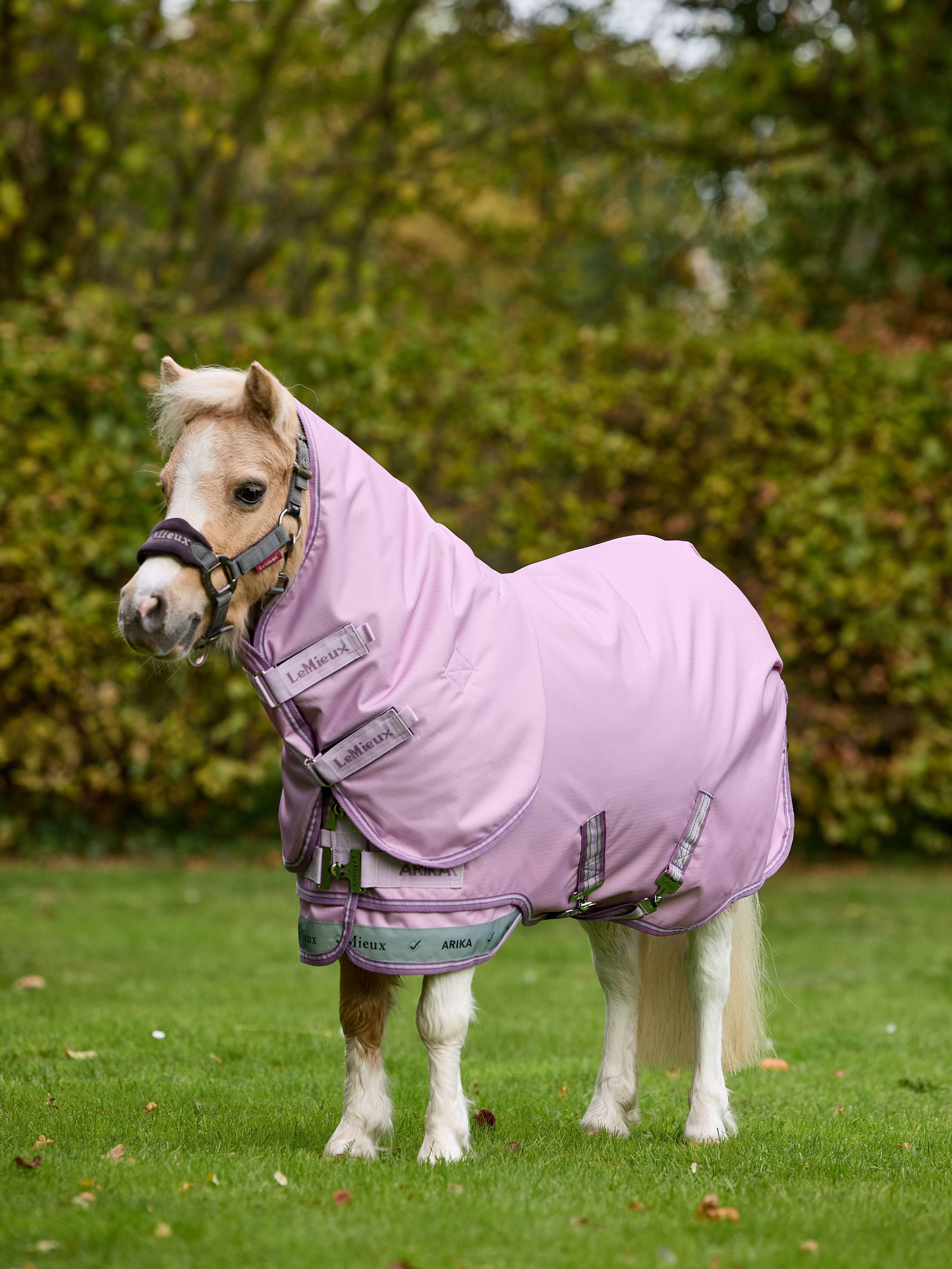 Arika Ripstop 50g Turnout Blanket Fondant Horse