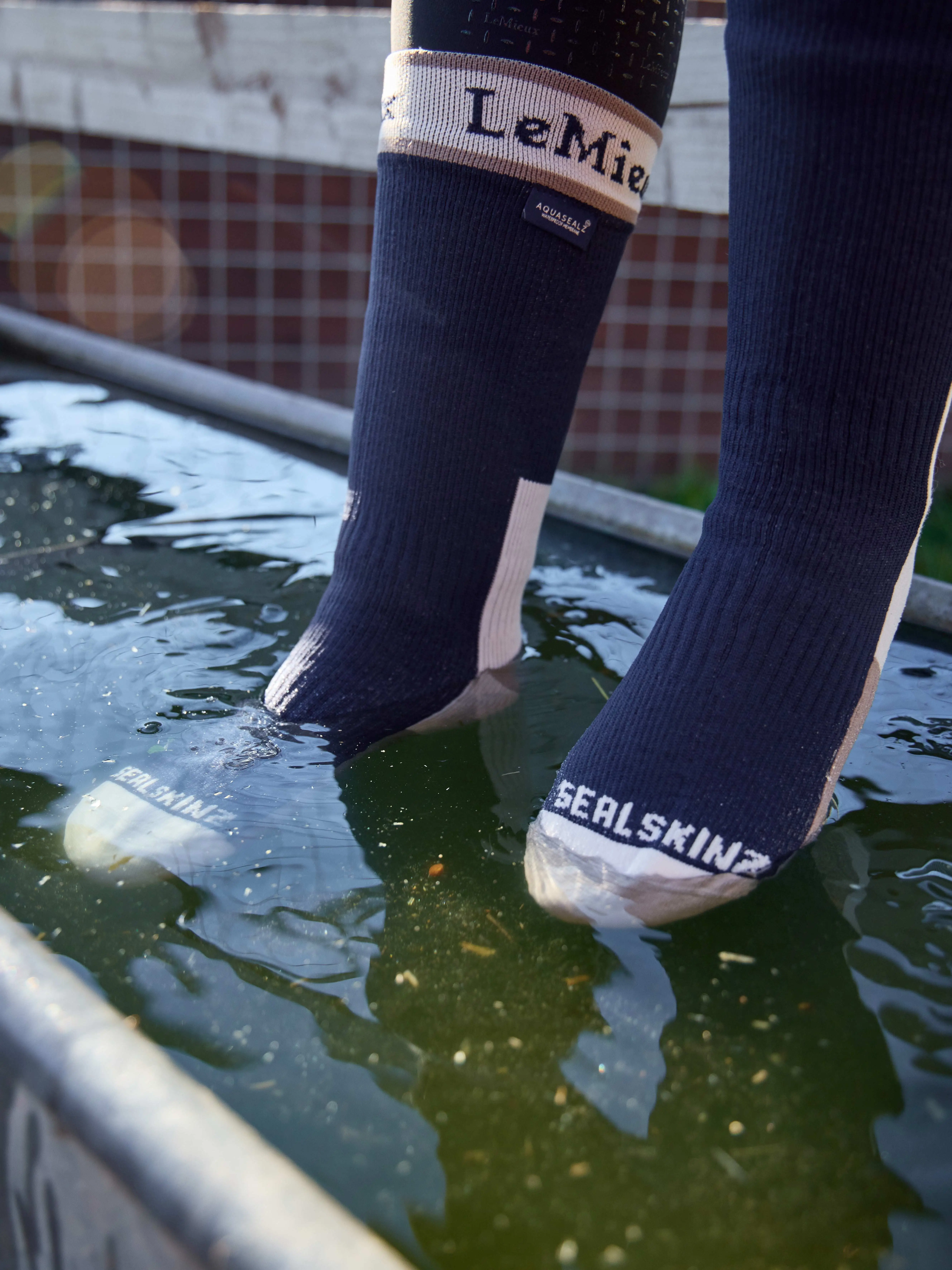 SEALSKINZ unisexe chaussette imperméable jusqu'à la cheville pour tous les températures – bleu/gris, S