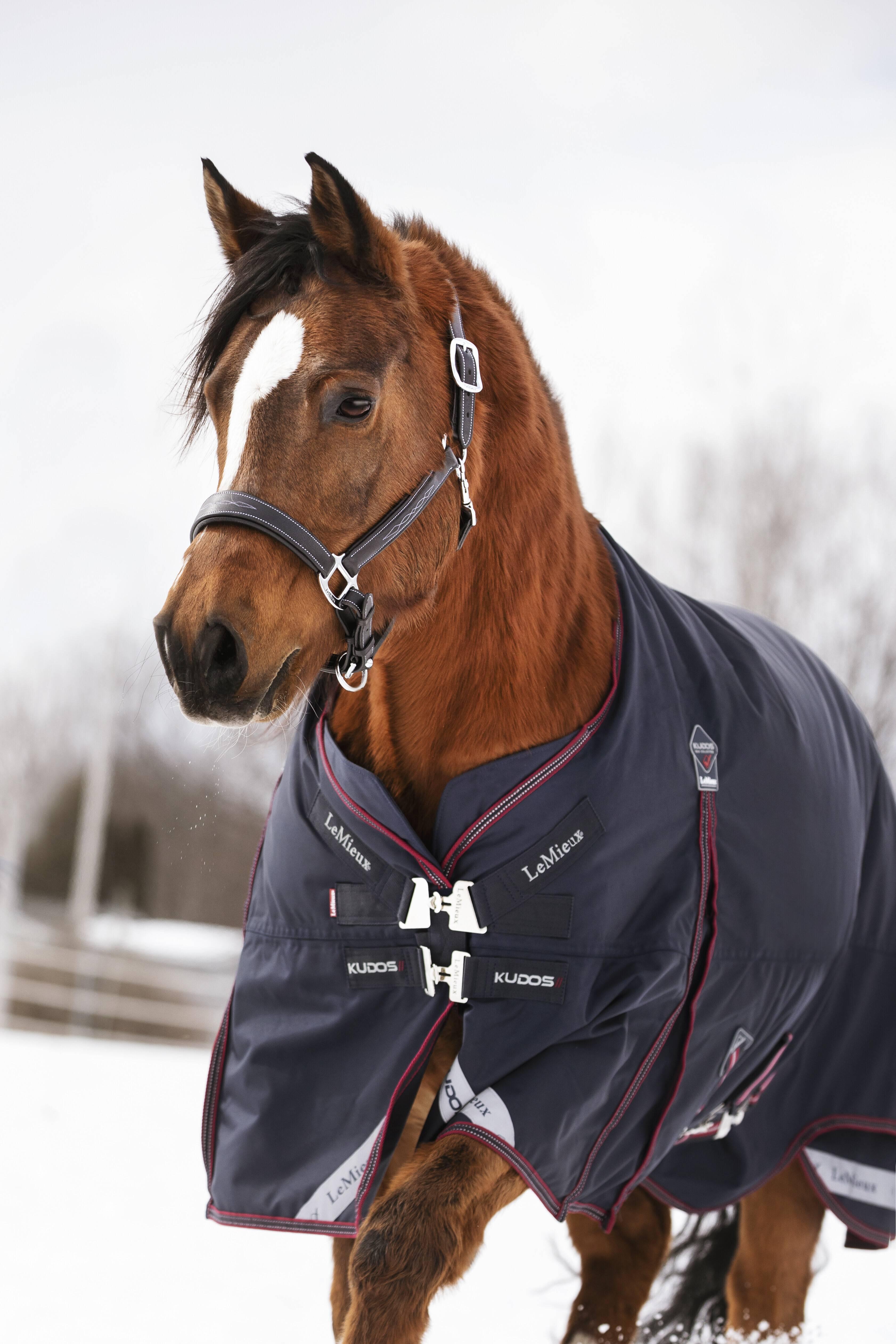 Coperta Turnout LeMieux Kudos 50g - Tappeto Leggero Per Cavallo