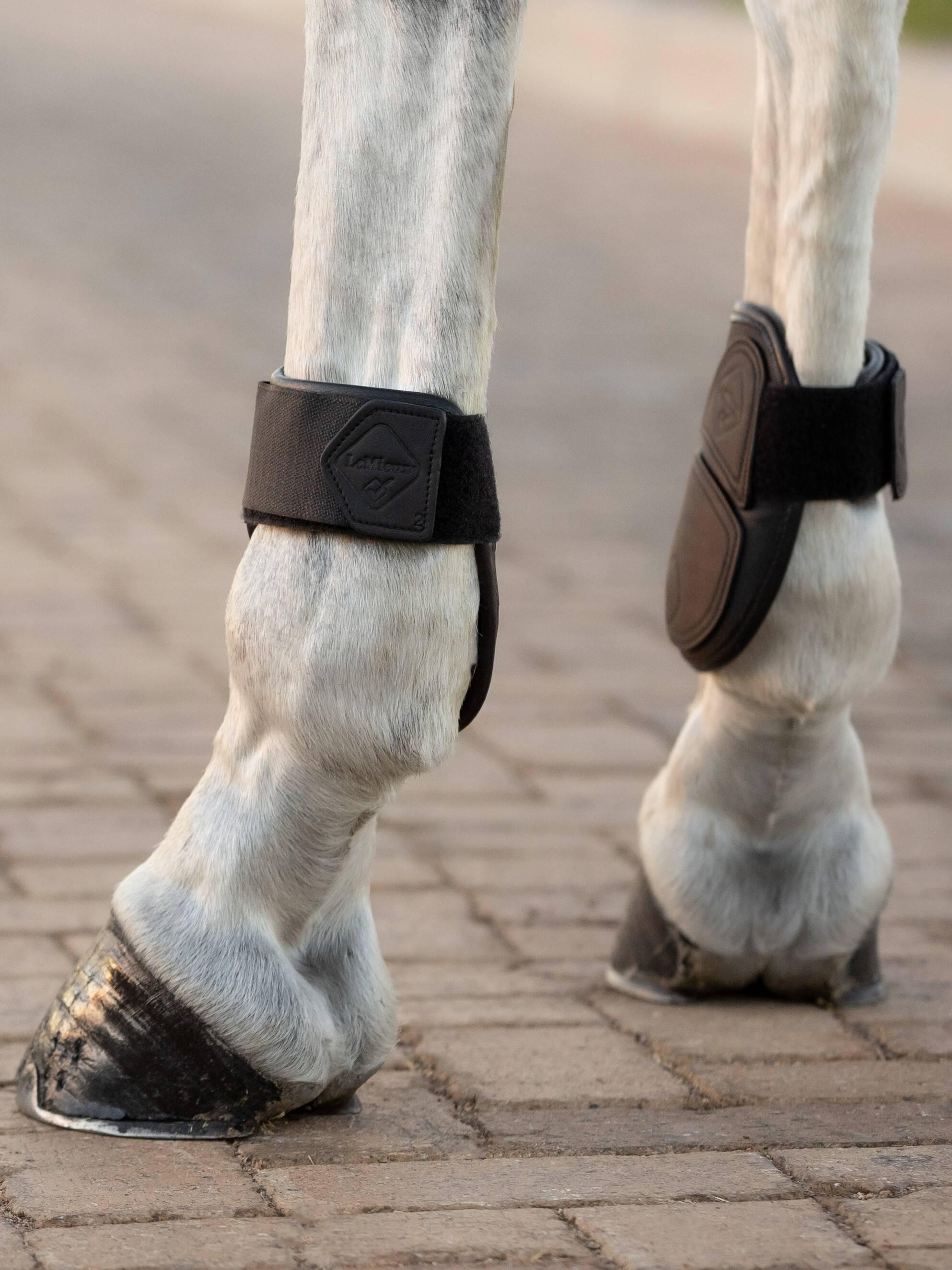 Le Mieux - Impact Compliant Fetlock Boots – Essential Equestrian Wear - Foto 9