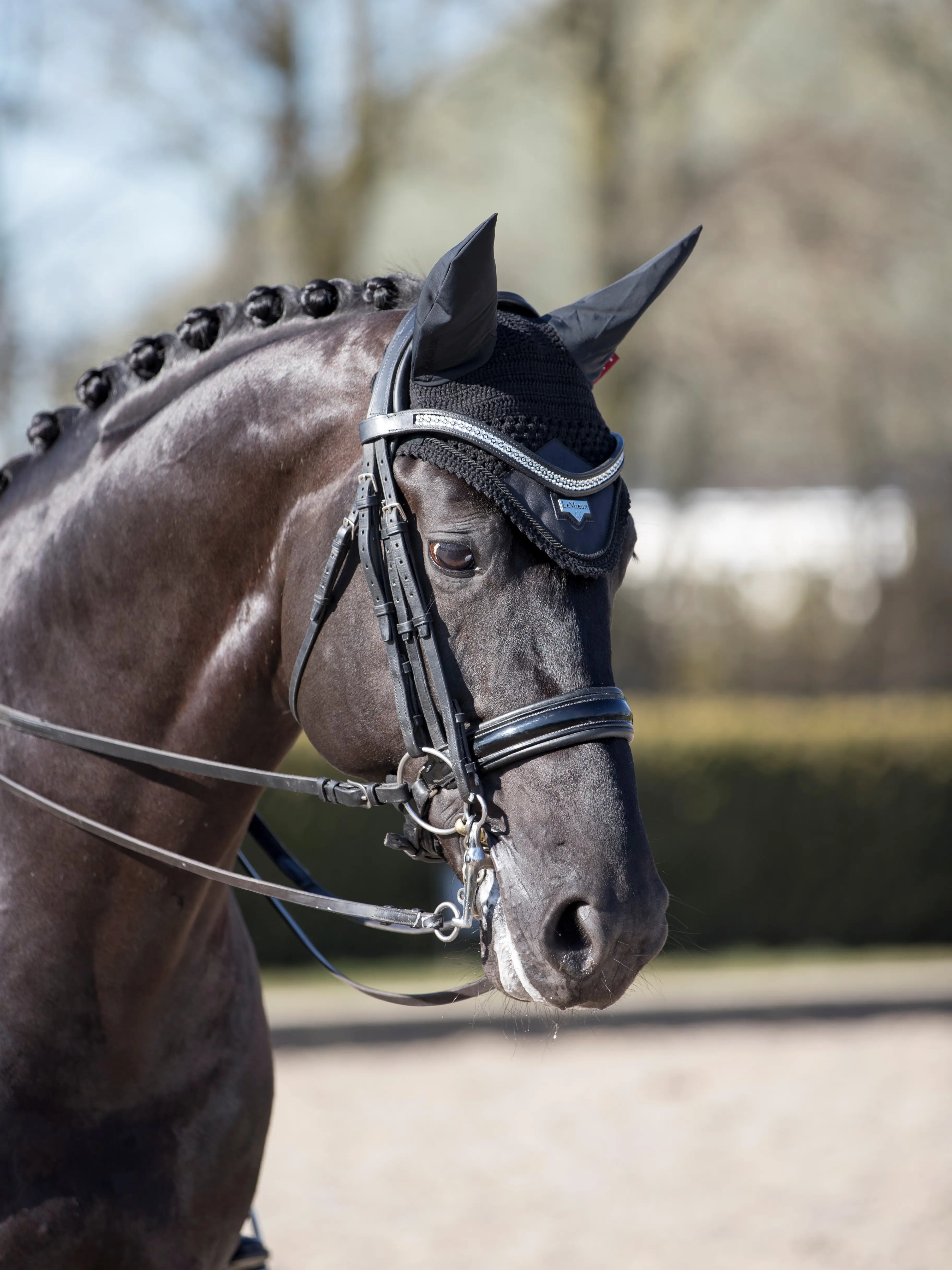 Loire Ear Bonnet Black Horse
