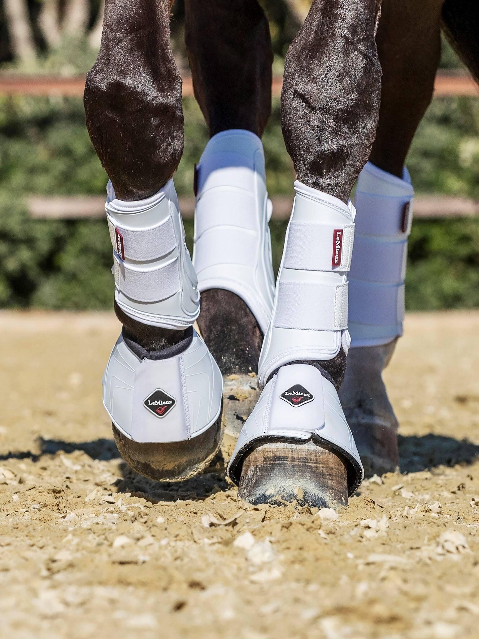 Bottes nubuck PREMIERE 37 - DESTOCK HORSE