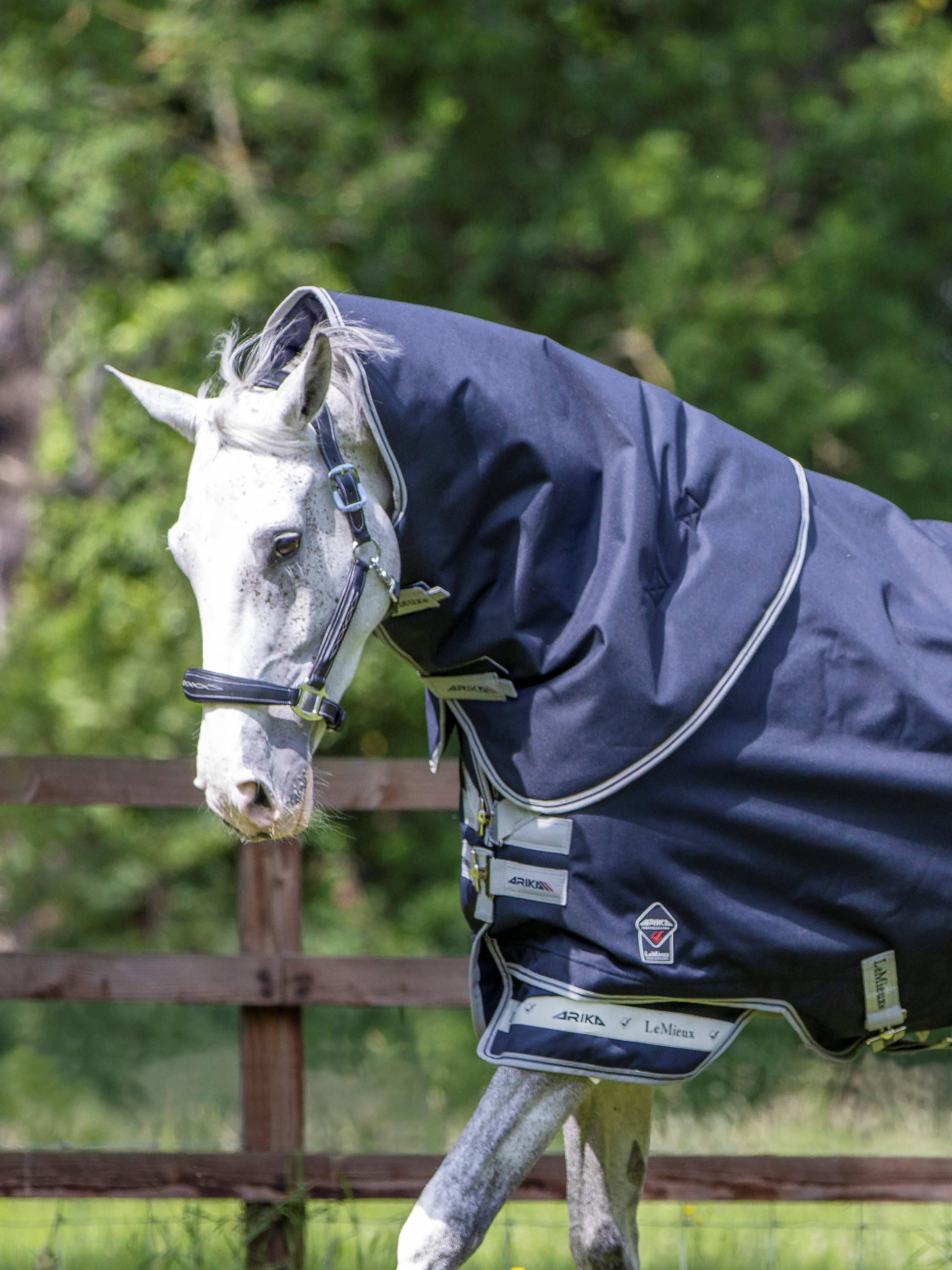 Lemieux Winterdeken Arika StormTek Plus 200 Navy | Paardensport