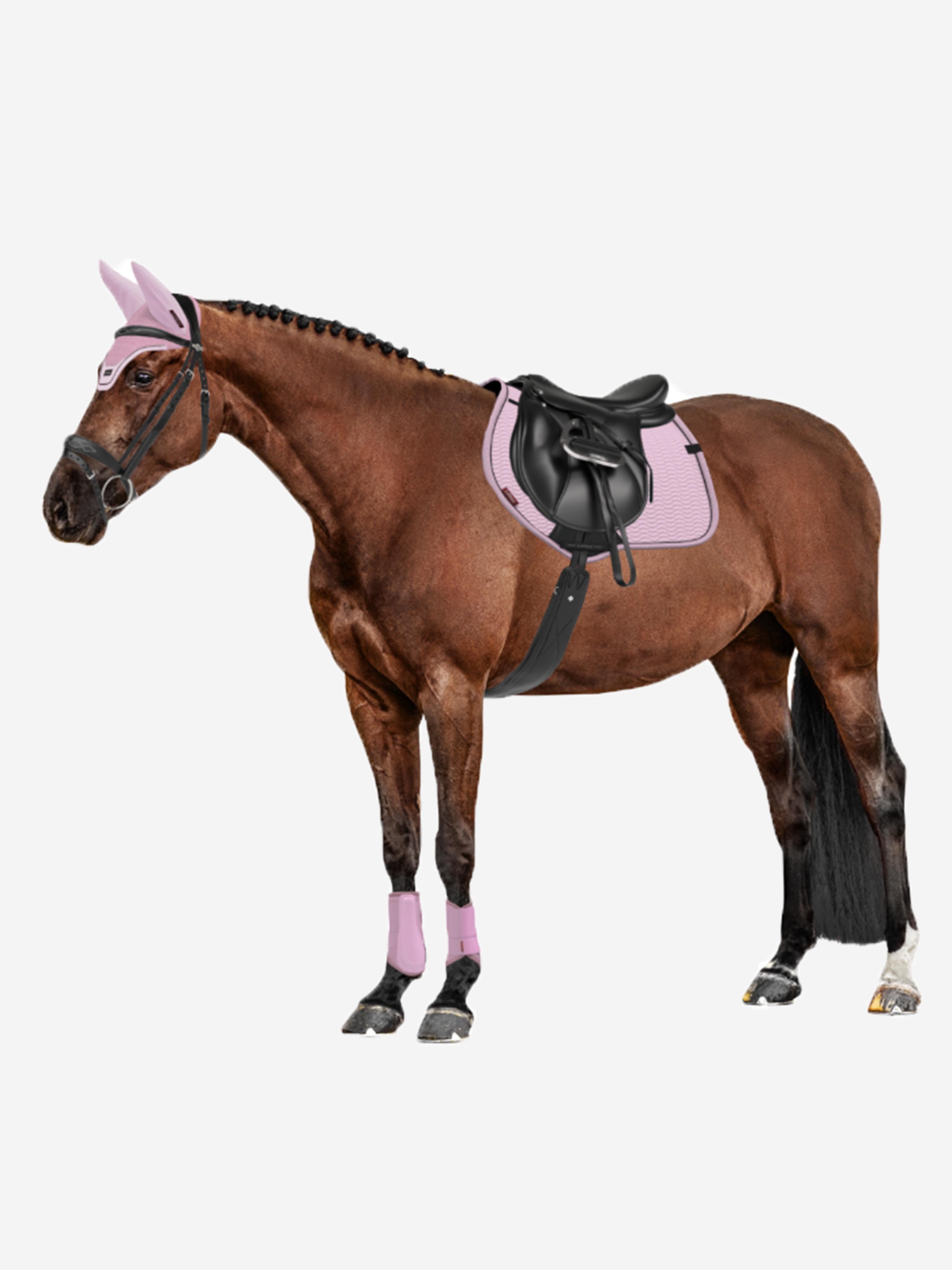 LeMieux x Stella McCartney Jump Bundle Lipstick Red Saddle Pads