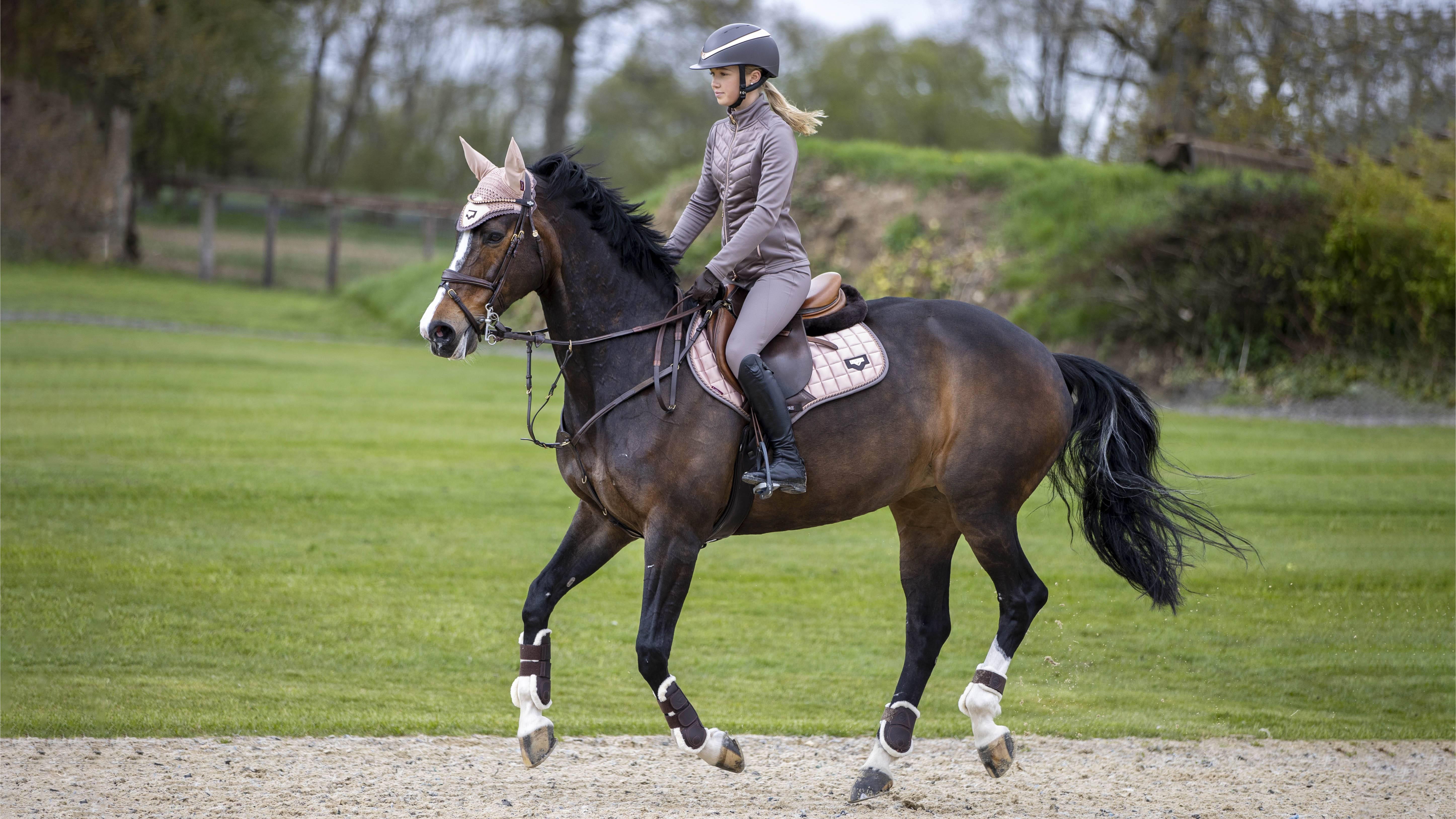 LeMieux Loire Fly Hood - Robinsons Equestrian