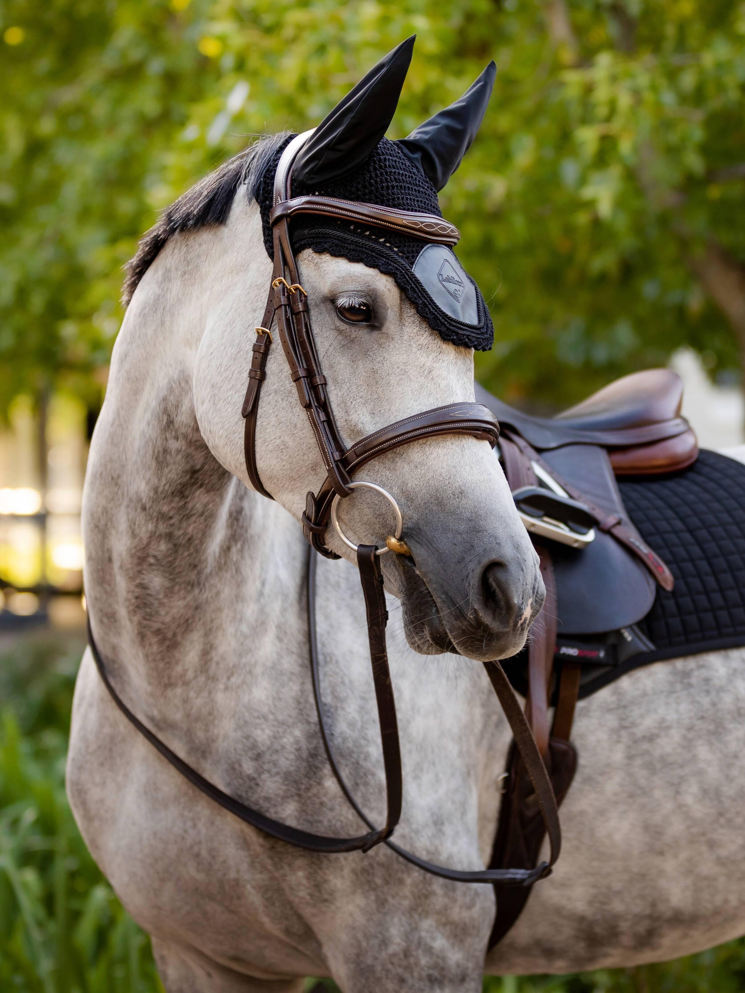chasse mouche à frange bleu pour le poney - Pour filet ou licol